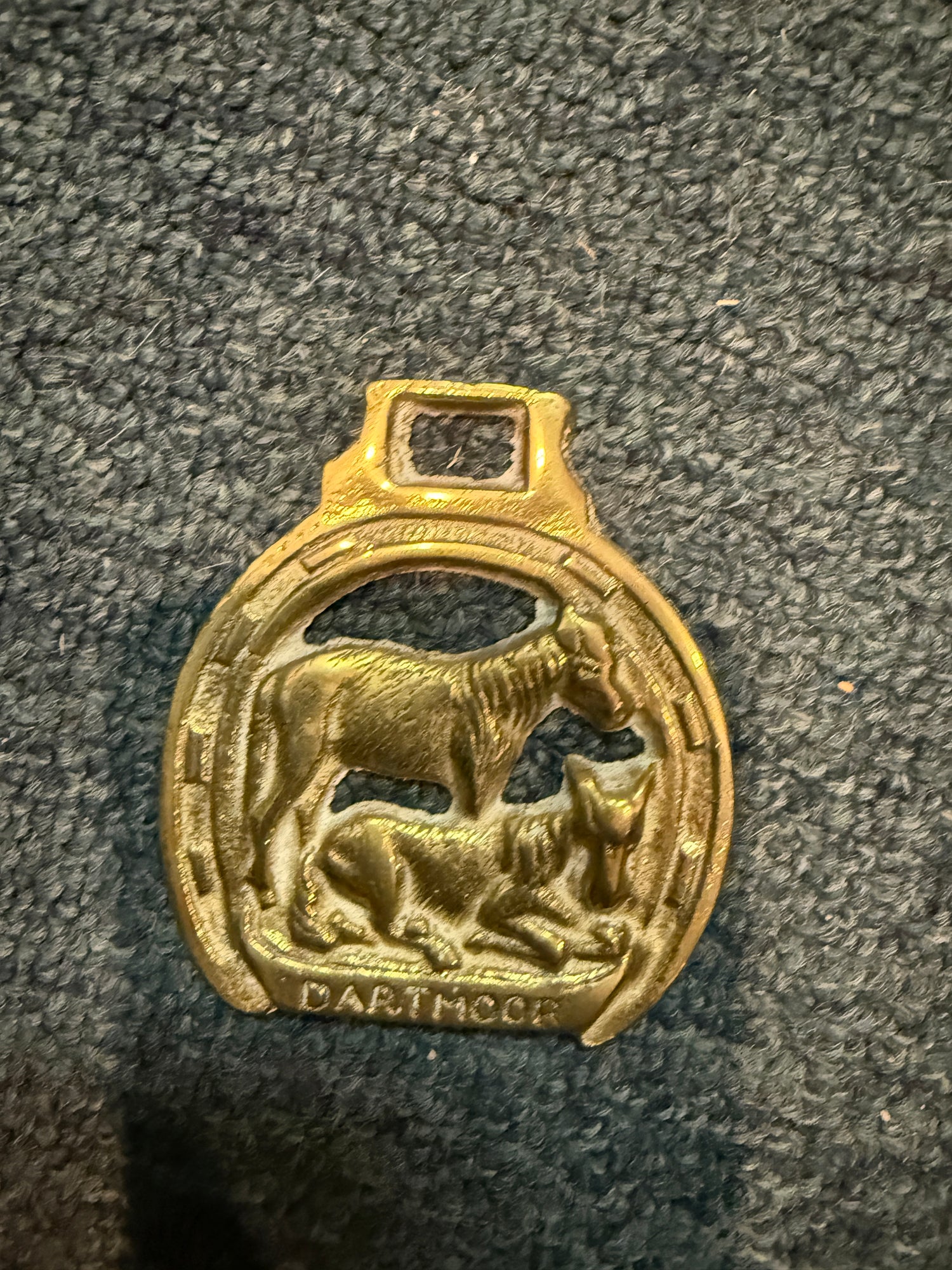 Brass Horse Harness Medallions