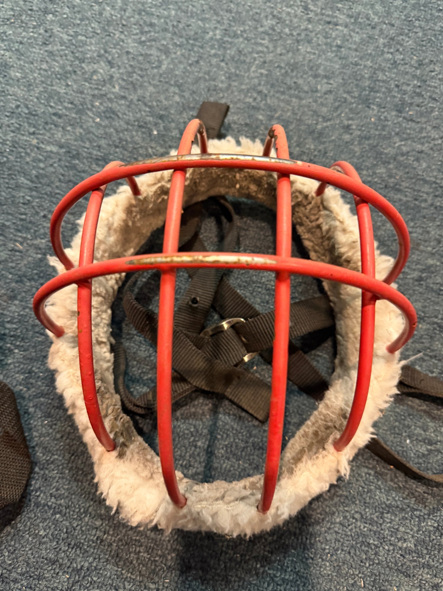 Cage Grazing Muzzle large