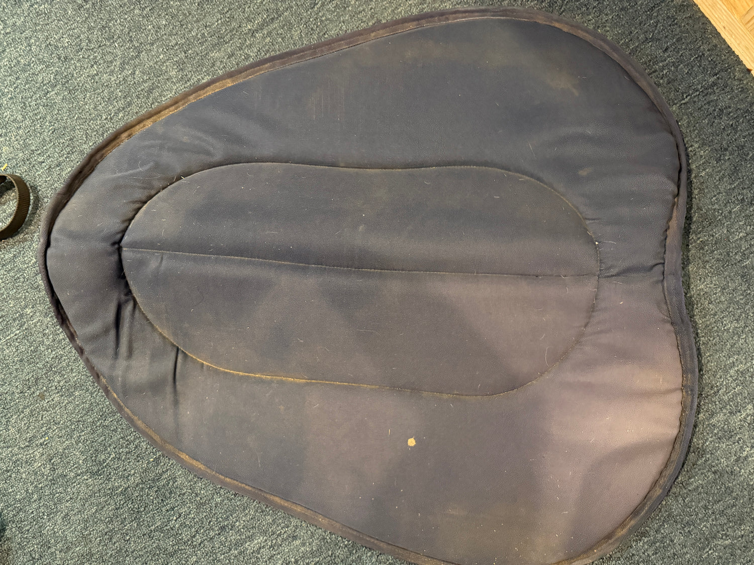 Blue Shaped Western Saddle pad