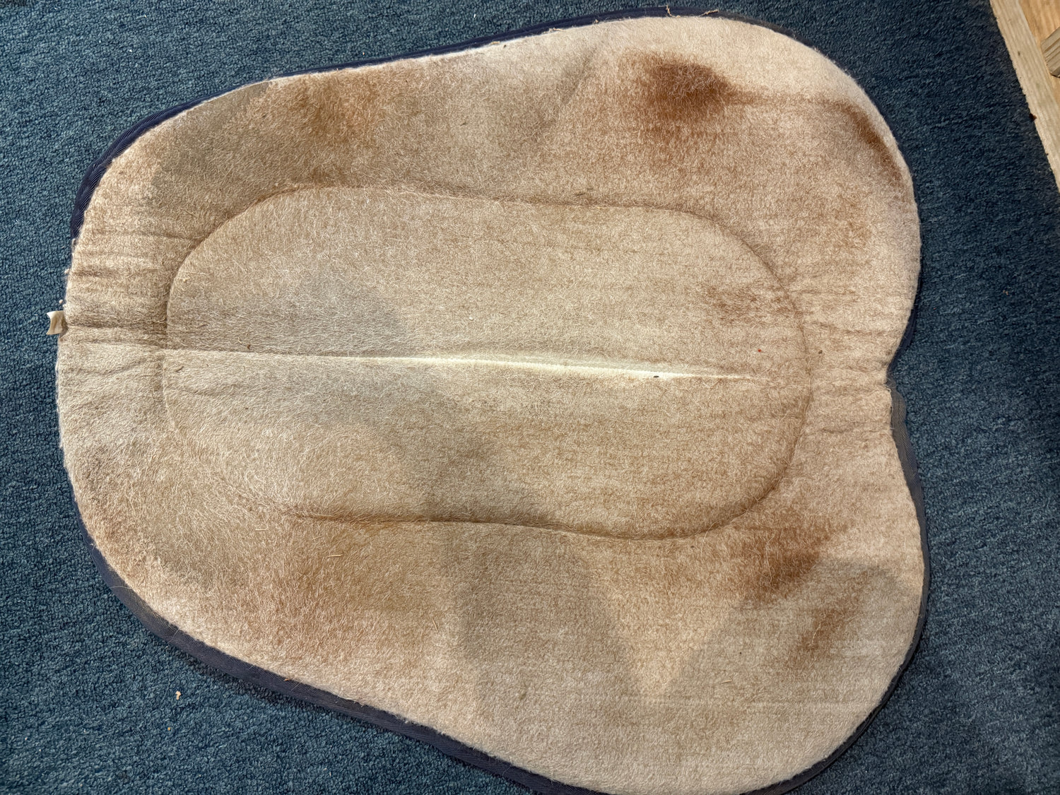 Blue Shaped Western Saddle pad