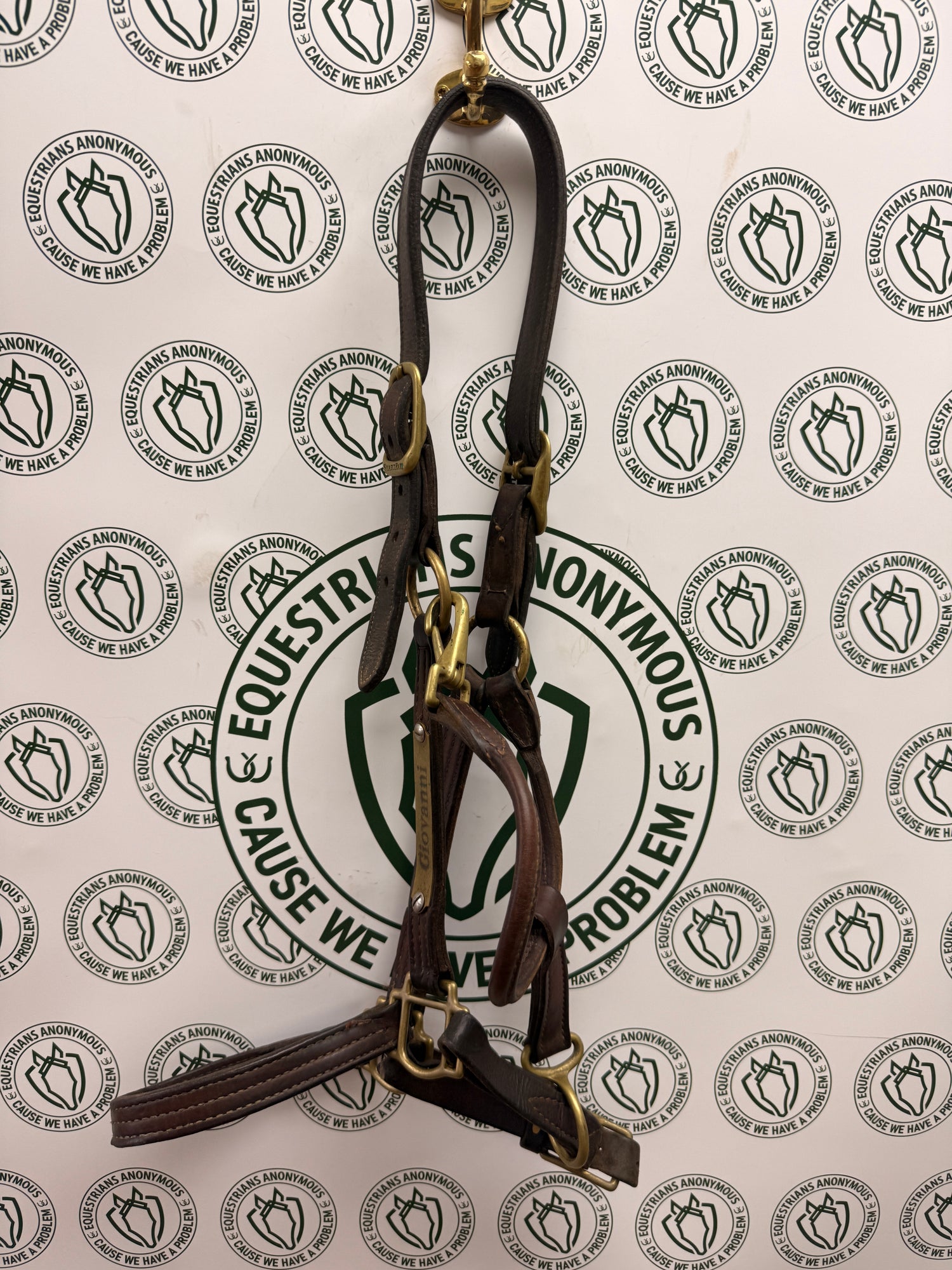 XL Leather Halter Giovanni name plate