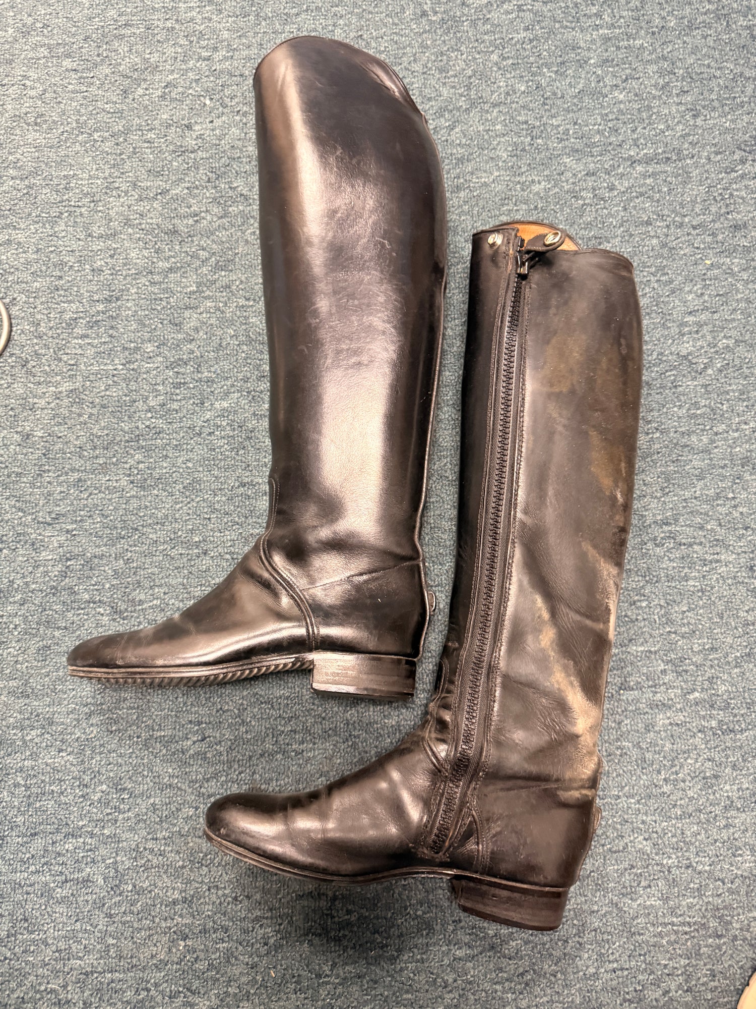 7 Women's Vogel Dressage Dress Boot tall