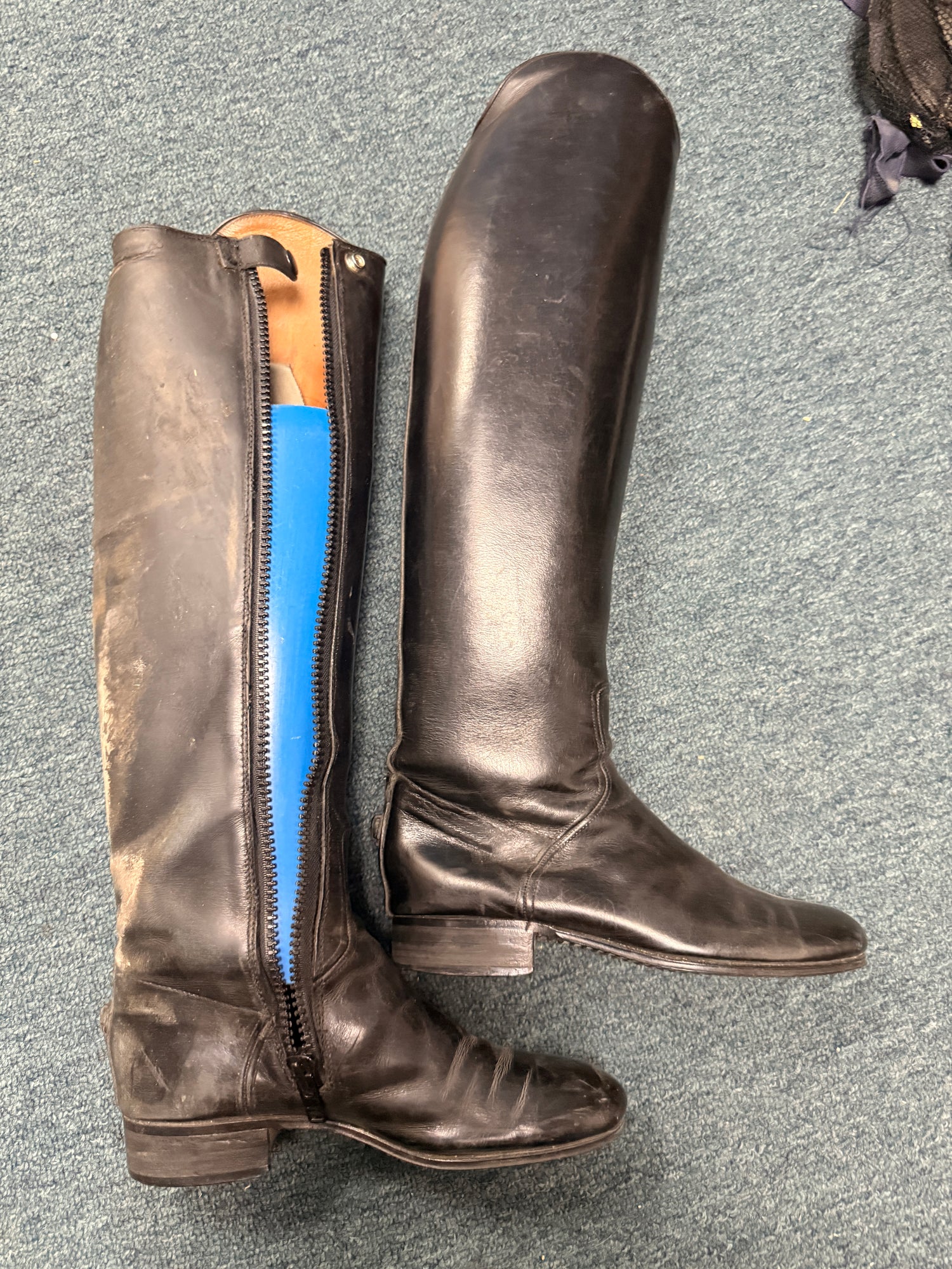 7 Women's Vogel Dressage Dress Boot tall
