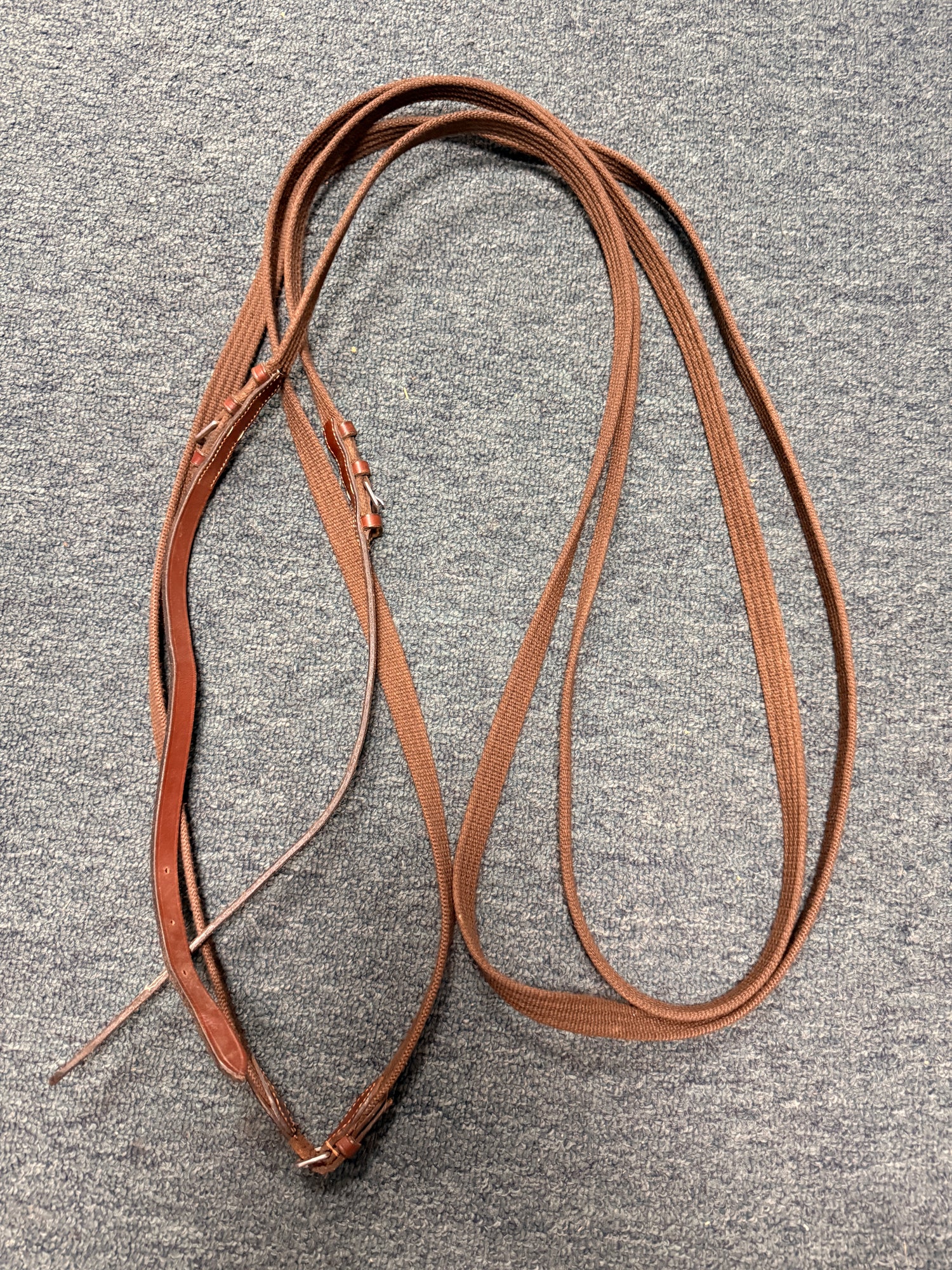 15" Brown Web Reins with leather ends