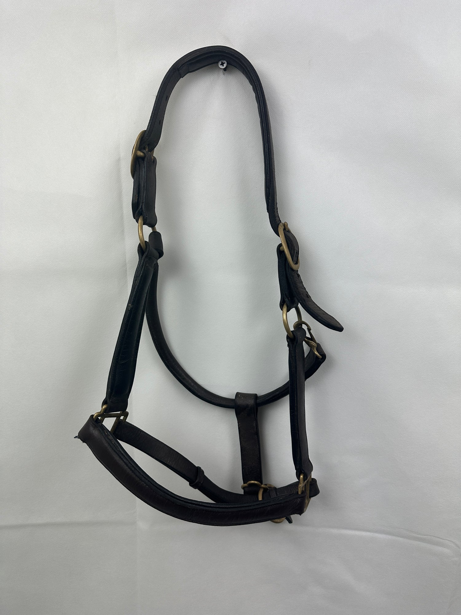 Leather Halters - assorted