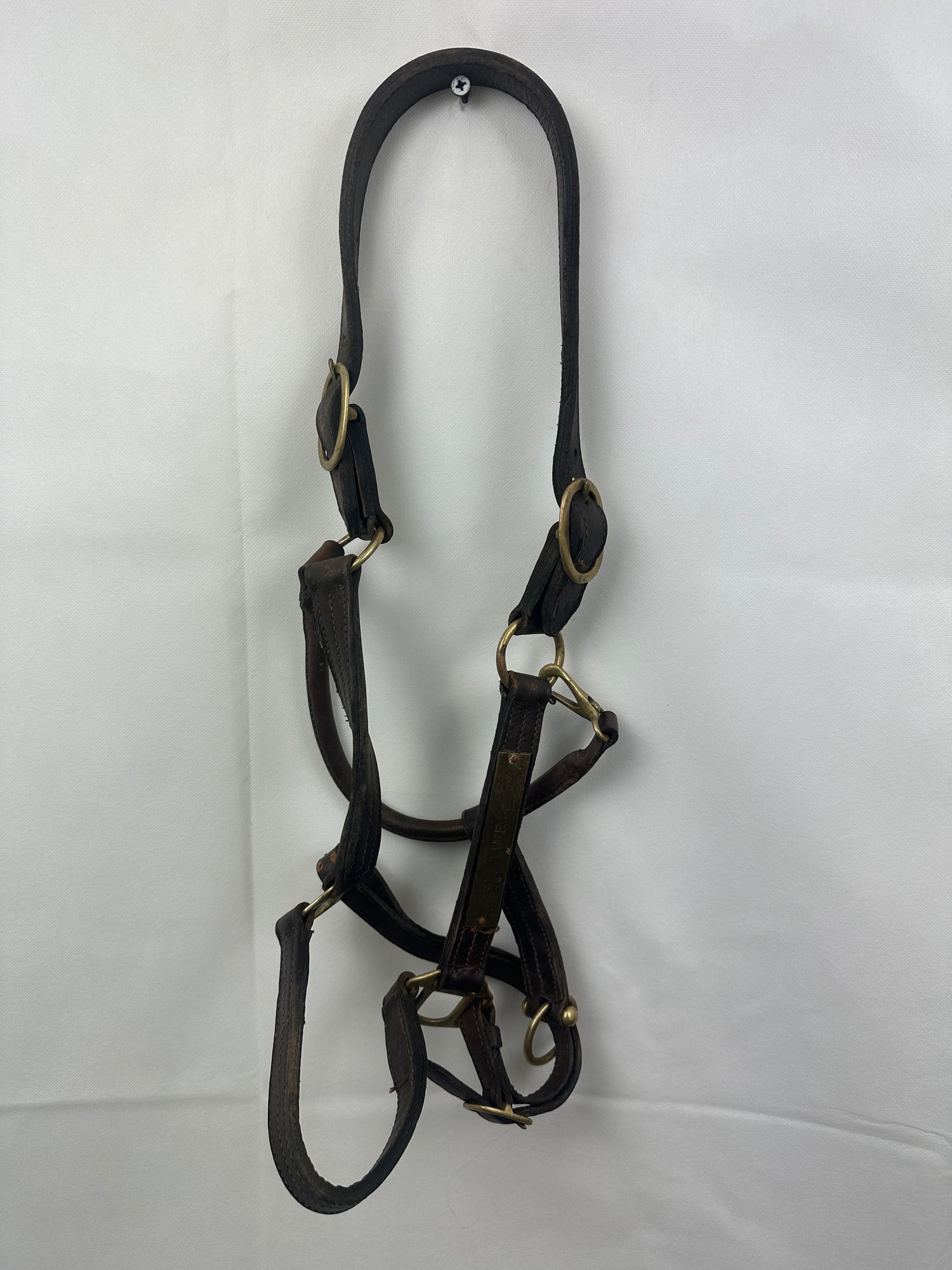 Leather Halters - assorted