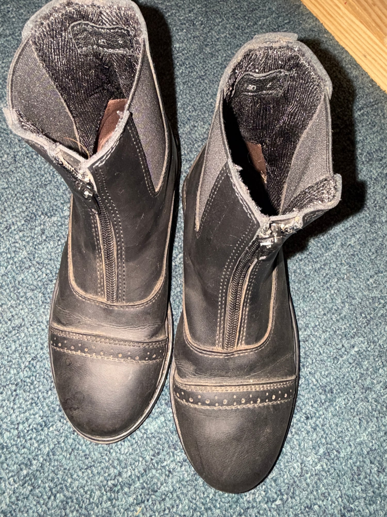 Youth Black Paddock boots