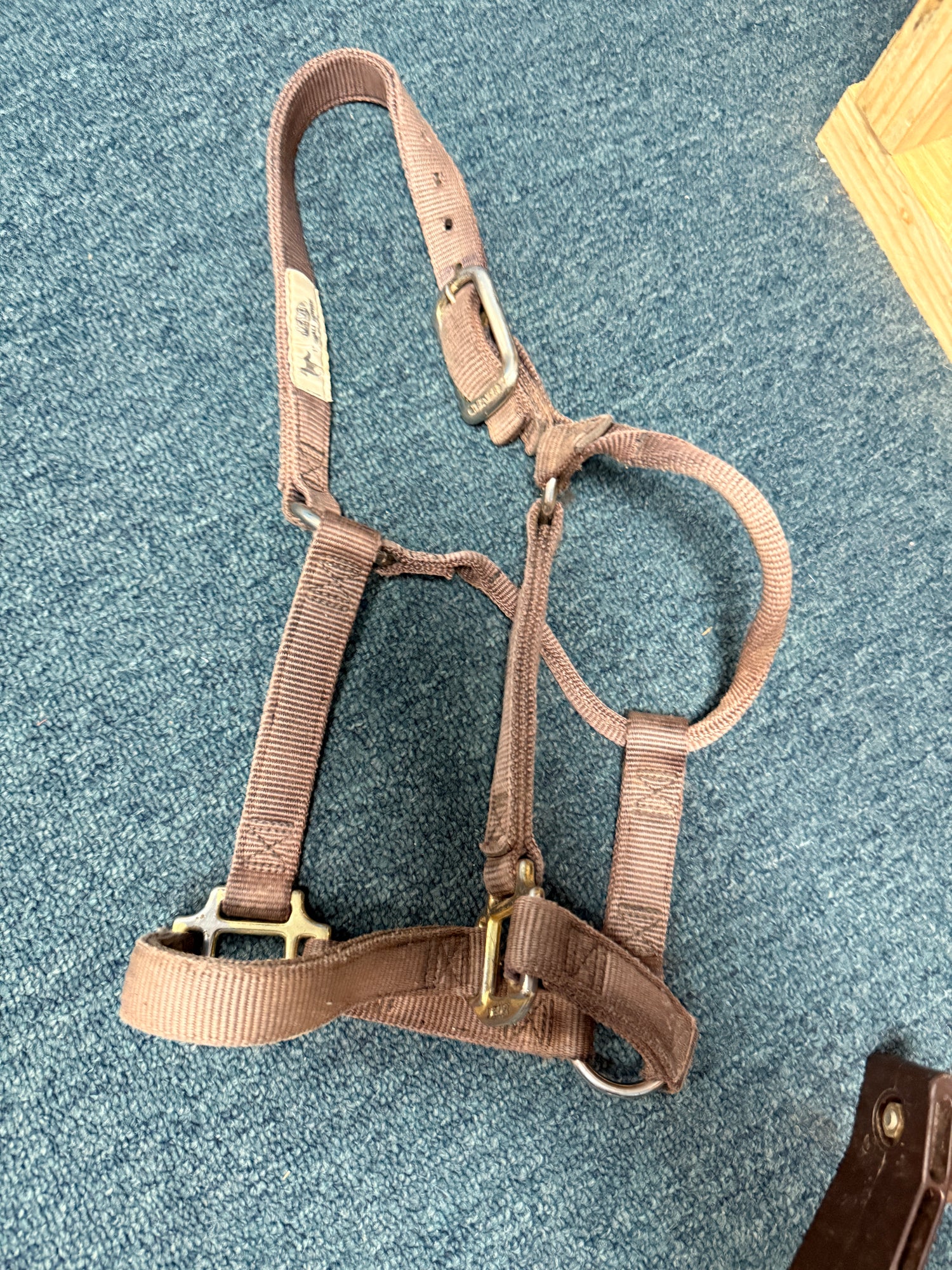 Nylon Cob Size Halters