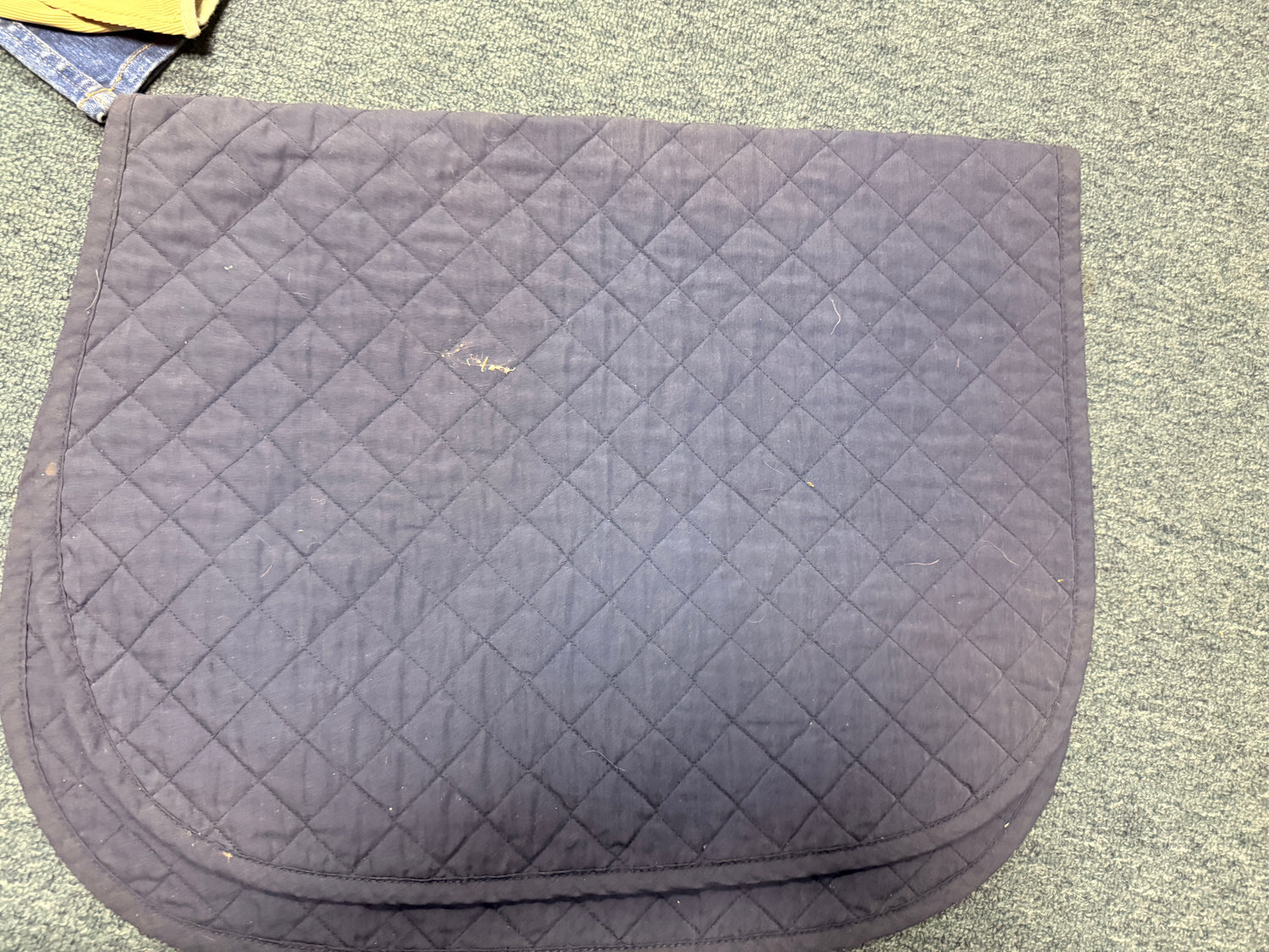 Schooling Saddle pads All Purpose