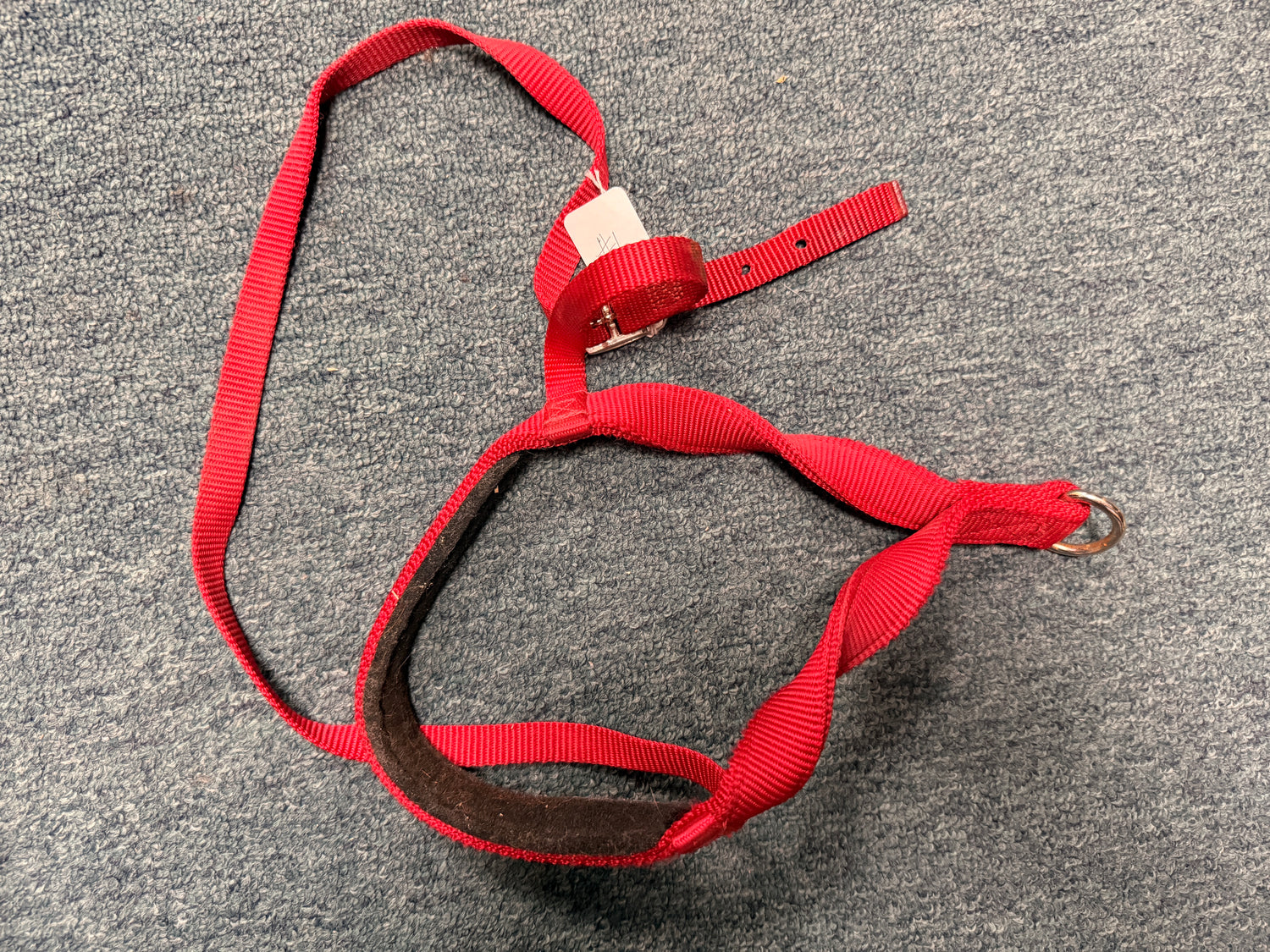 Western Nylon Nose Tie Down