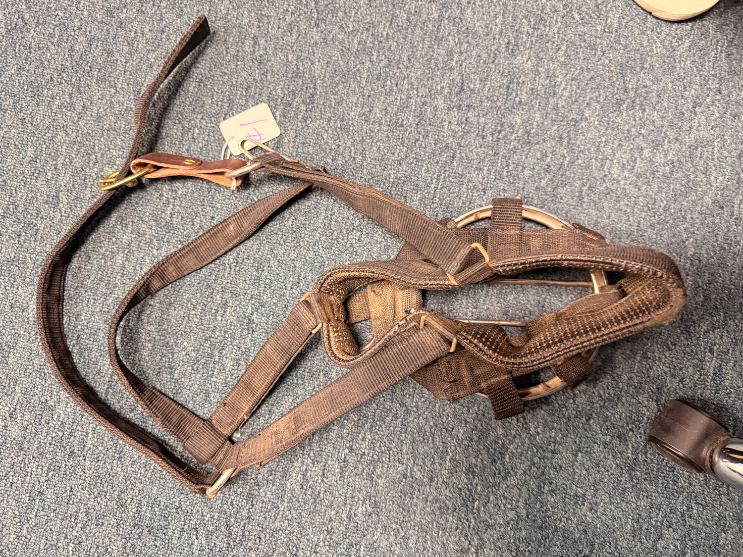 Black Nylon Grazing Muzzle w breakaway connect