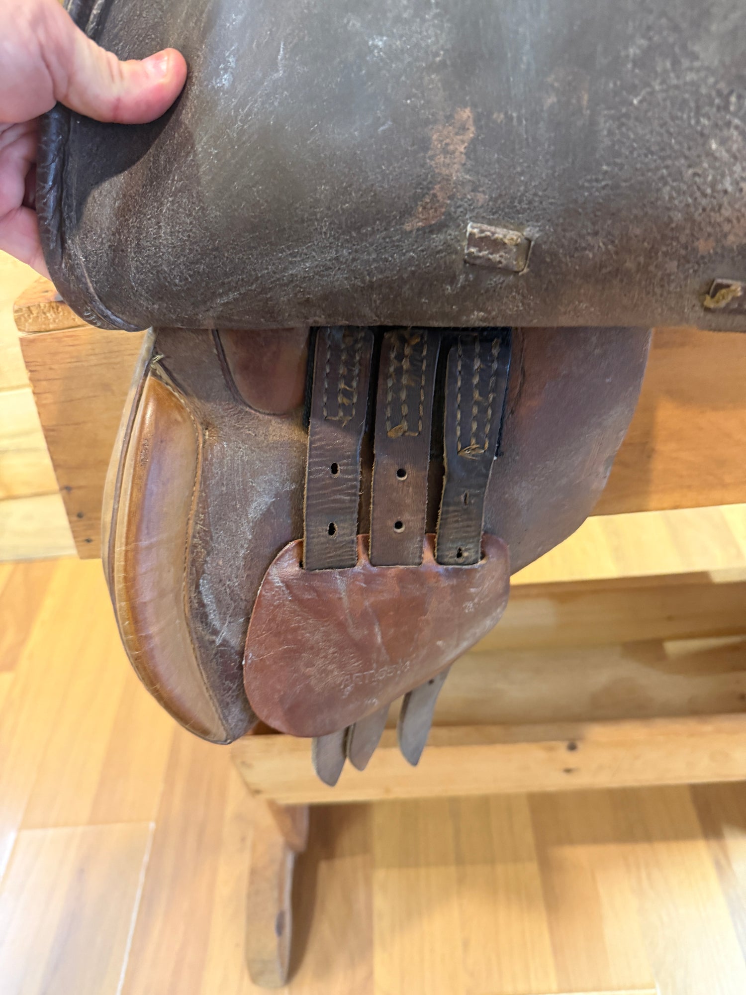 Saddle - English H/J 14.5" Collegiate Schooling