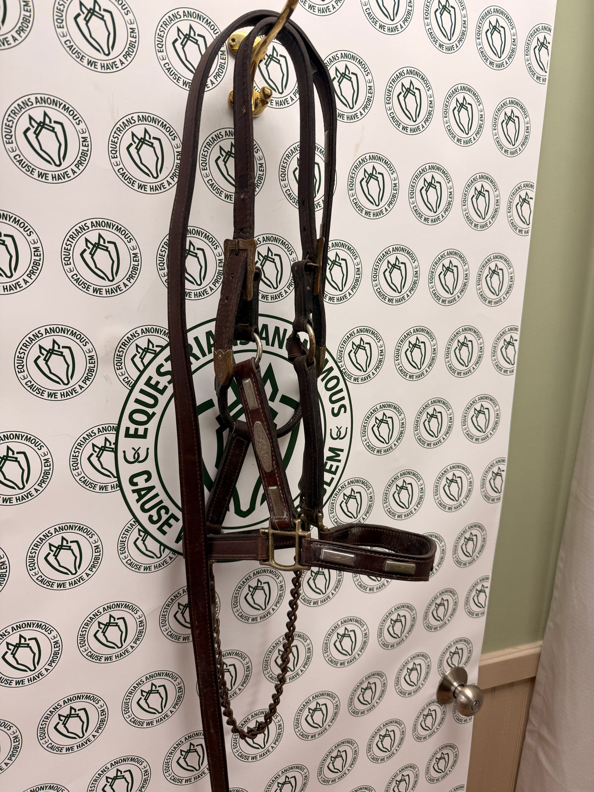 Leather Halter w silver with matching lead rope
