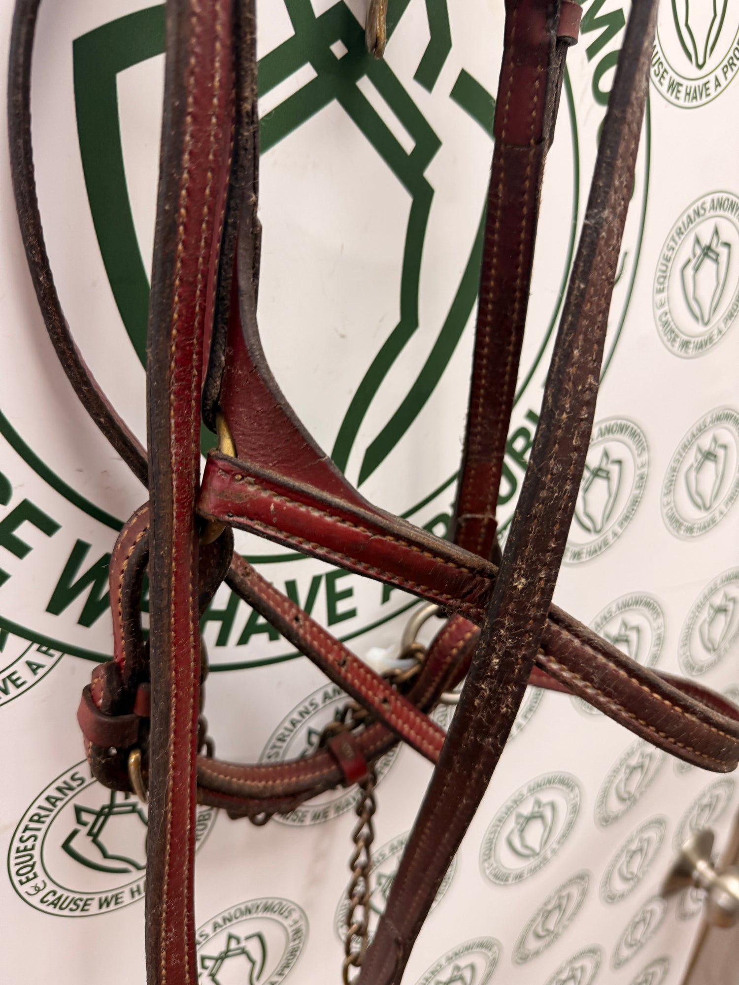 Leather show halter and lead Thin leather maroon / dark red finish