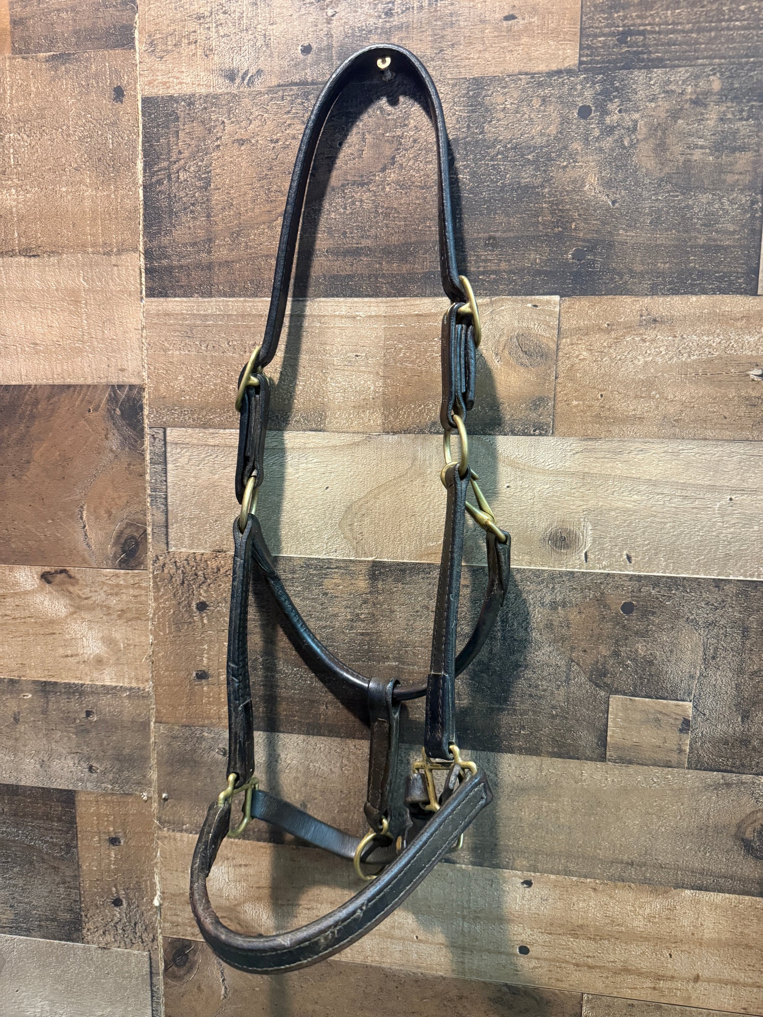 Cob Leather Halter