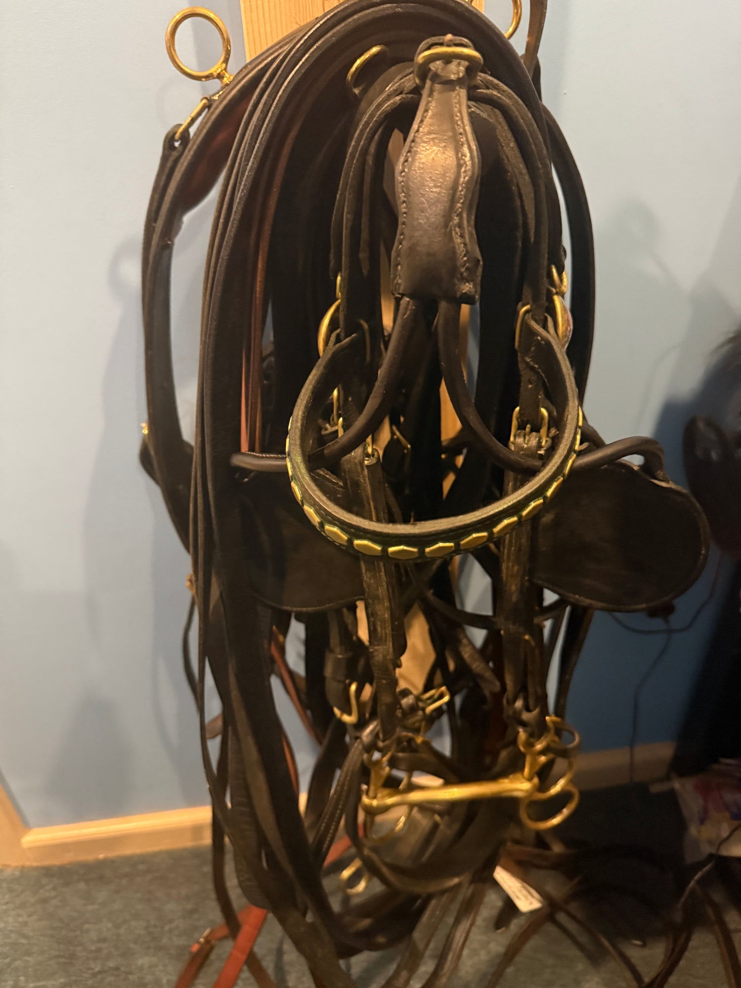 14.2 "Cob" Sized complete Harness Black Leather & Brass