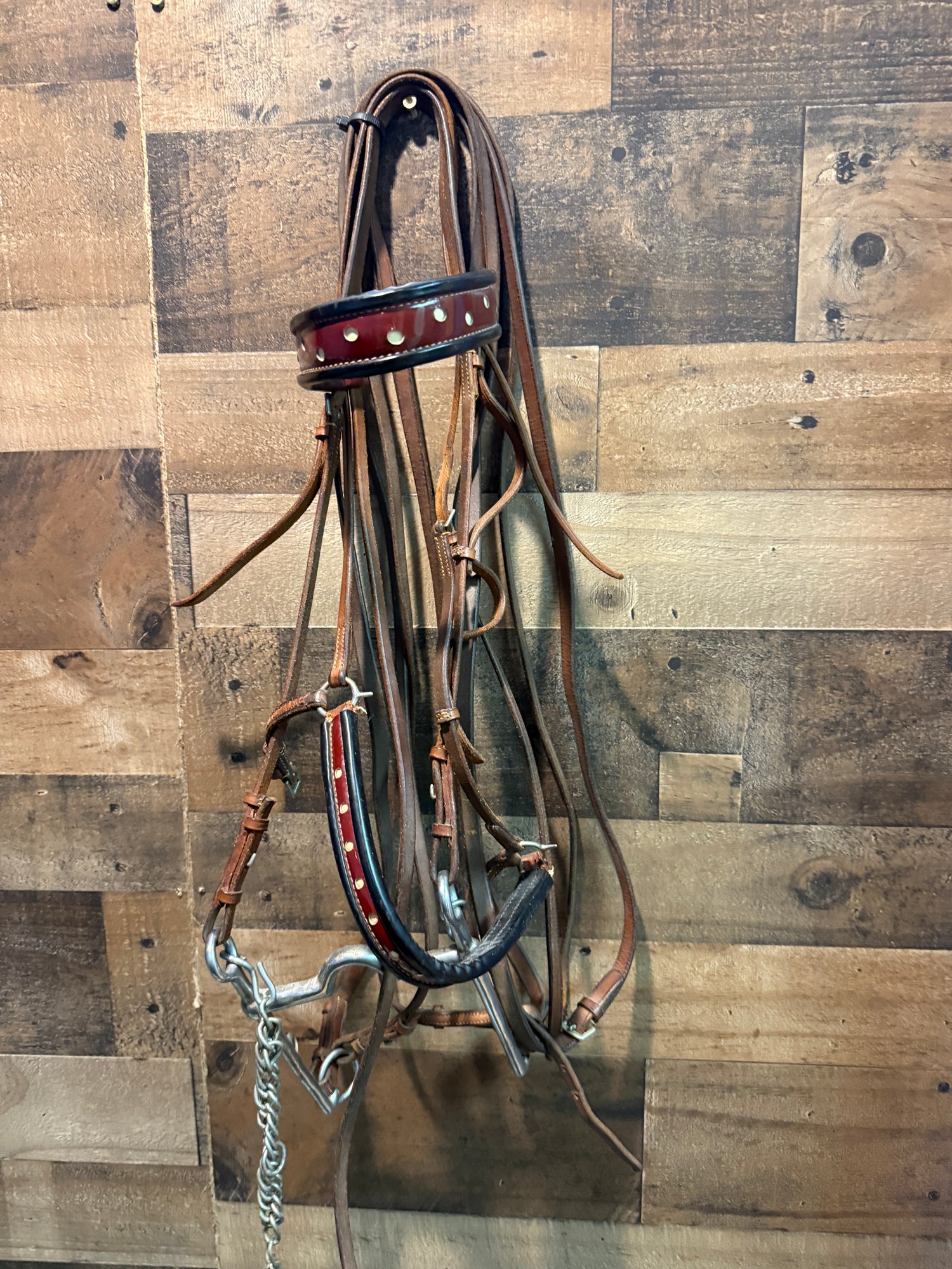 Saddle Seat Bridle with double reins and bit Red patent leather