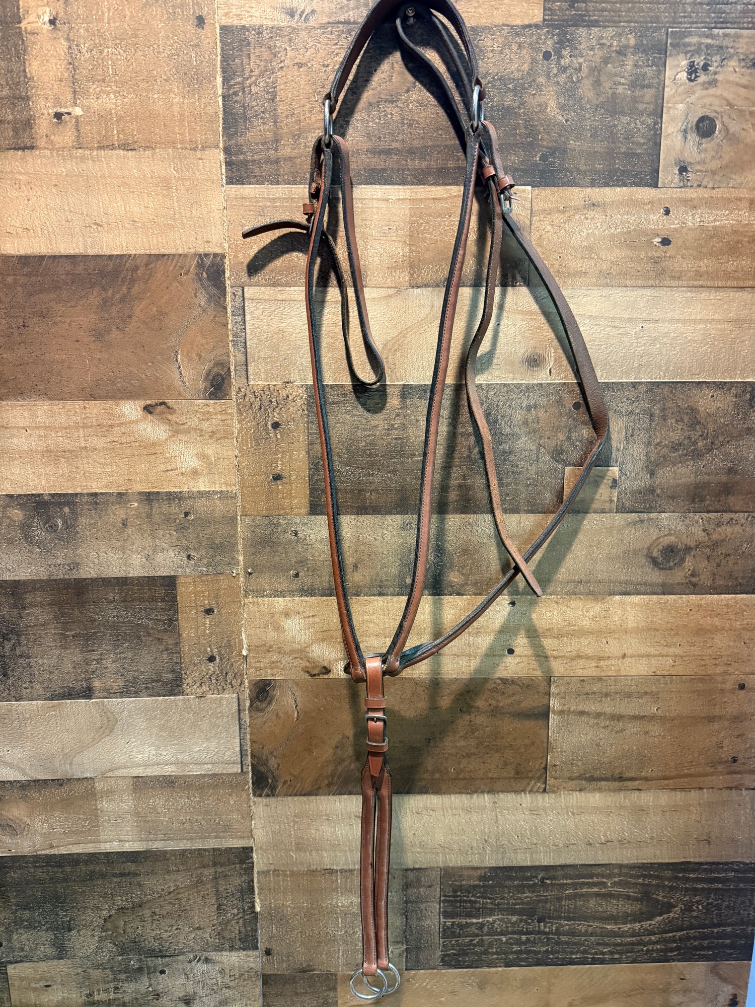 English raised Breastplate with running martingale