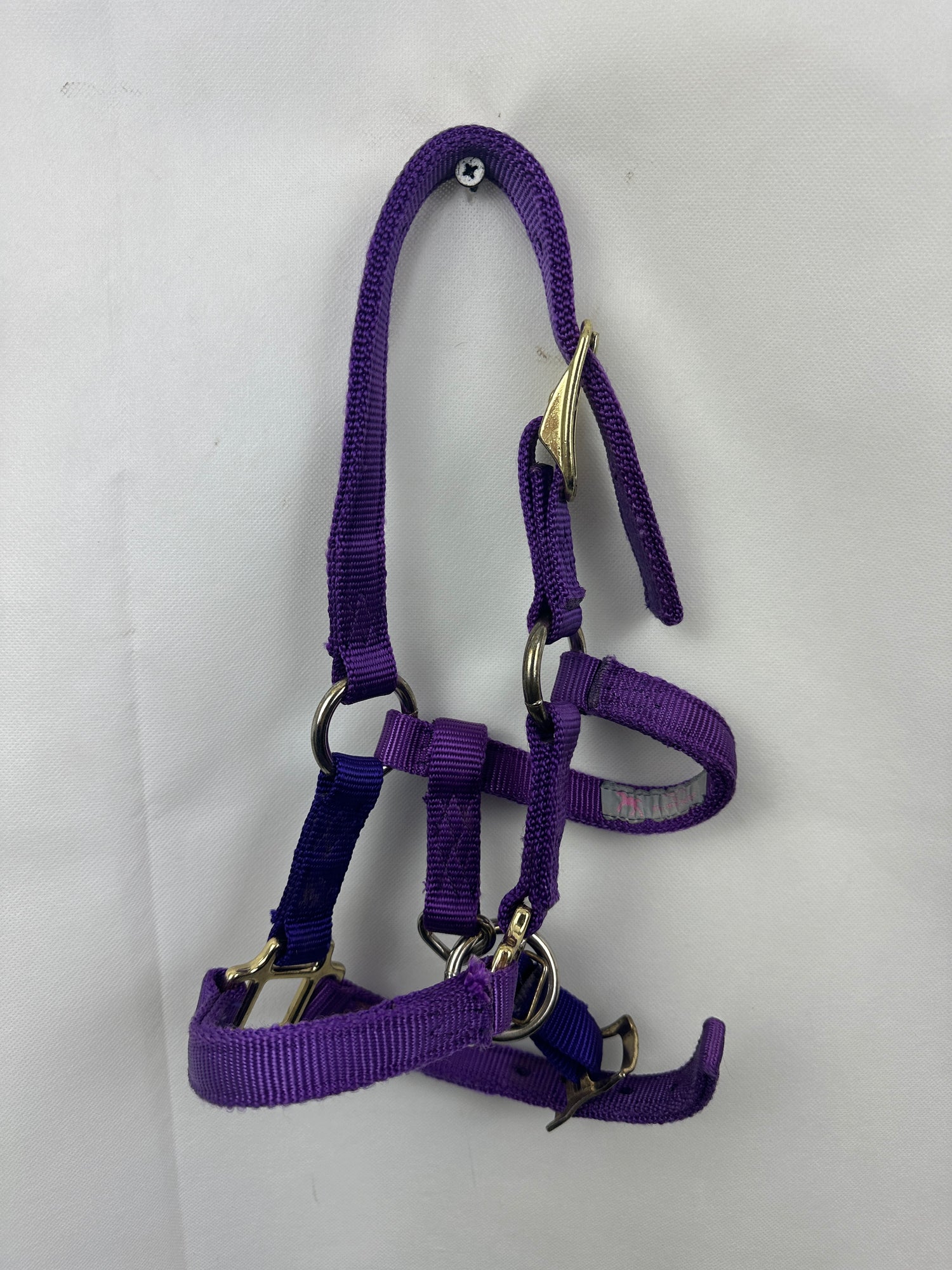 pony halters assorted