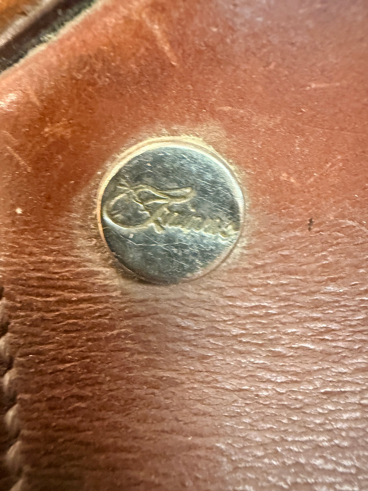 Saddle - English AP 16.5" Trainer Schooling saddle