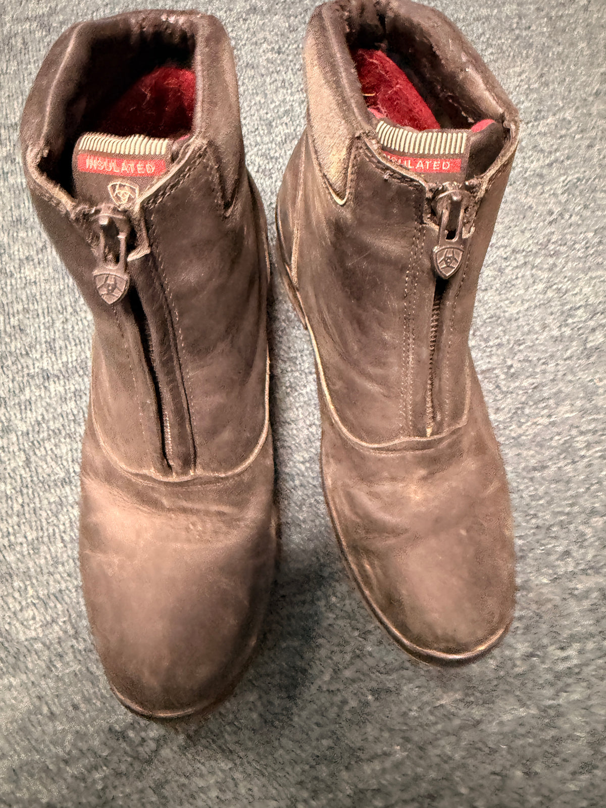 10.5" Women's Winter Ariat Paddock Boots