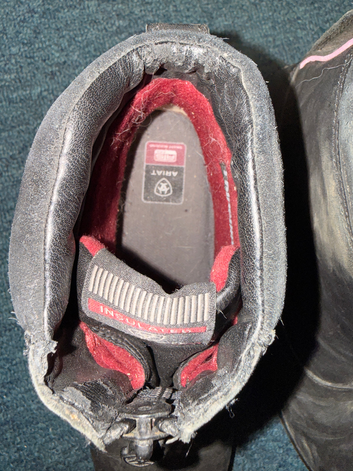 10.5" Women's Winter Ariat Paddock Boots