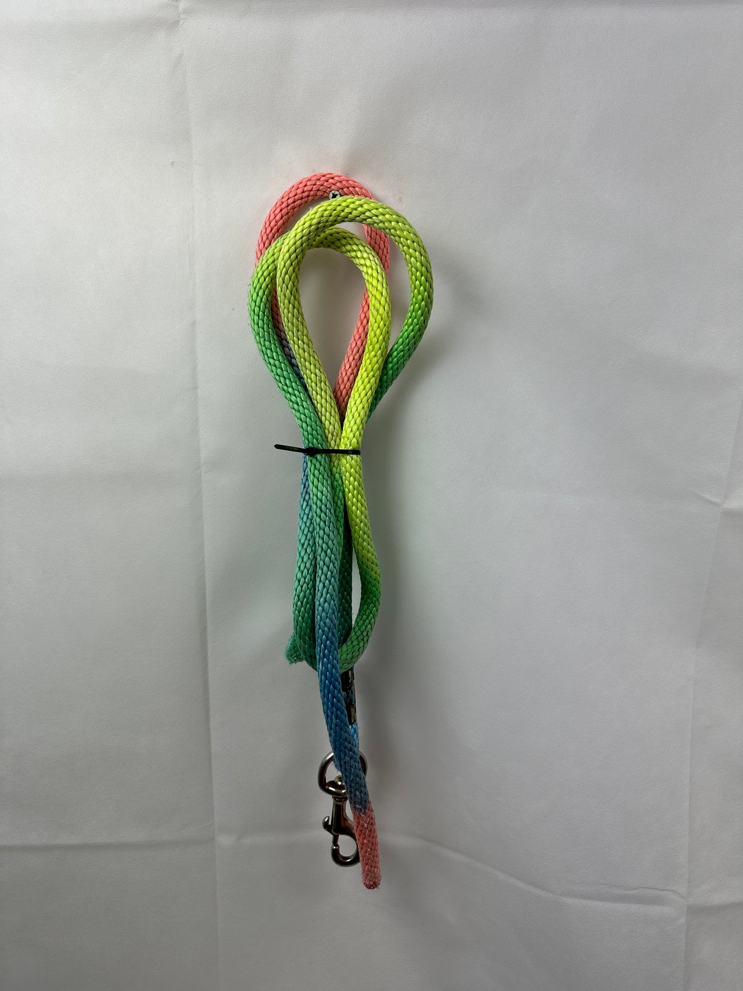 Rainbow lead rope with snap