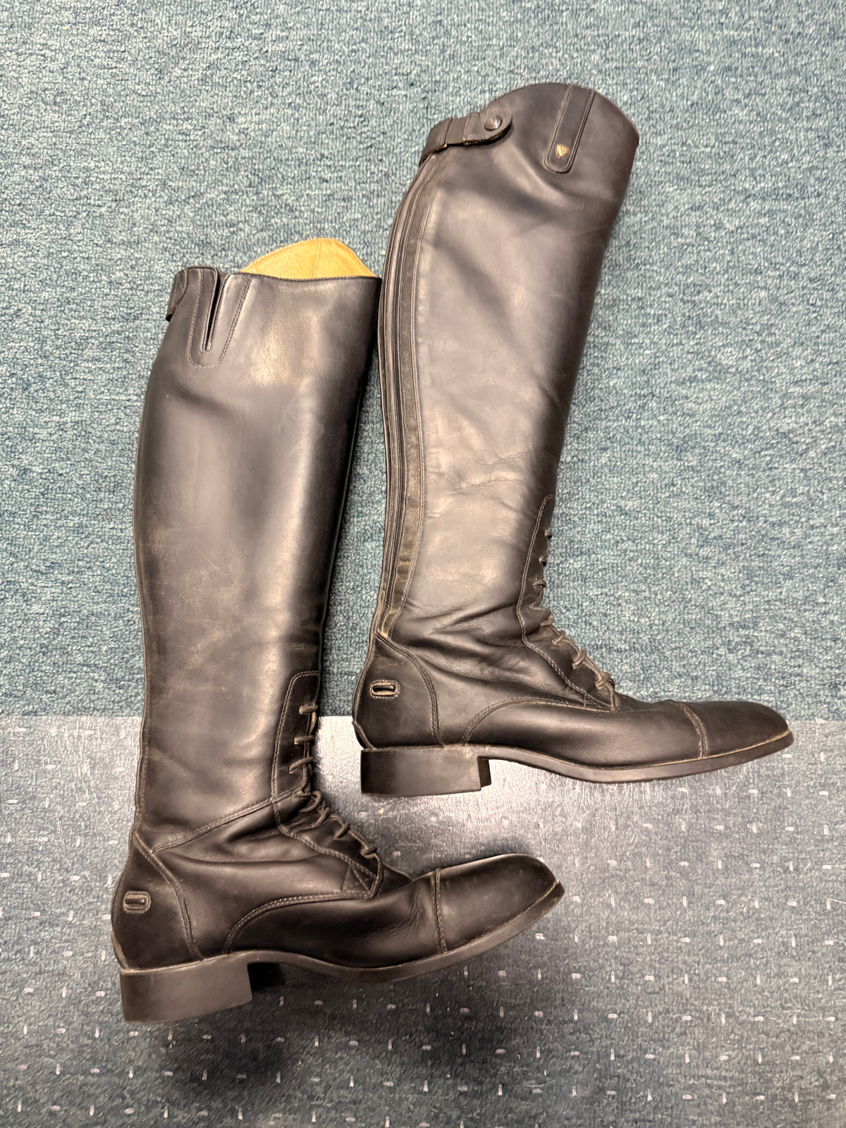 9.5B Women's Ariat Tall Field Boots
