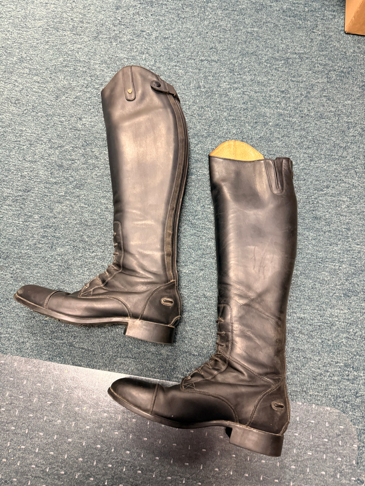 9.5B Women's Ariat Tall Field Boots