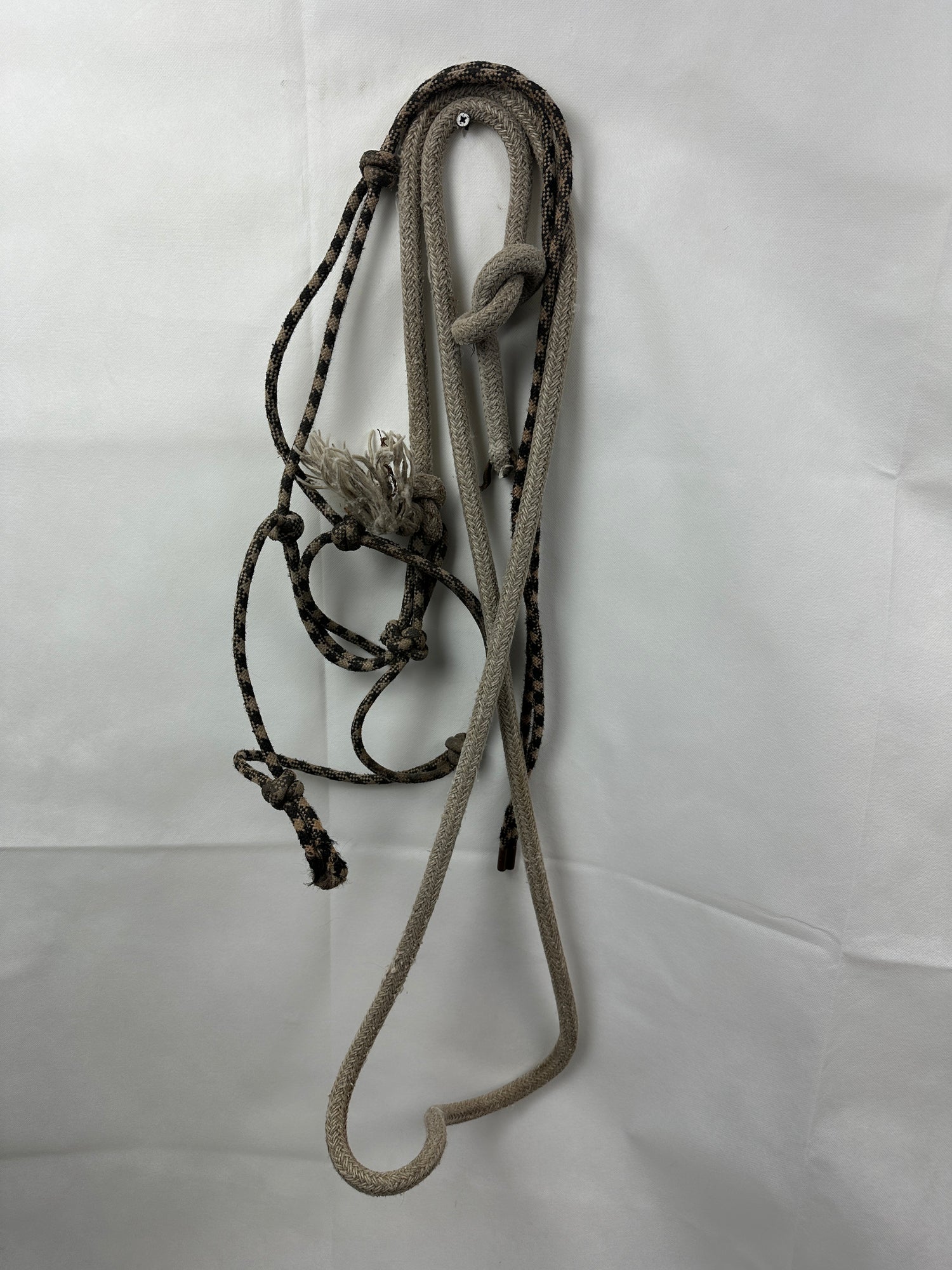 Rope Halter and lead