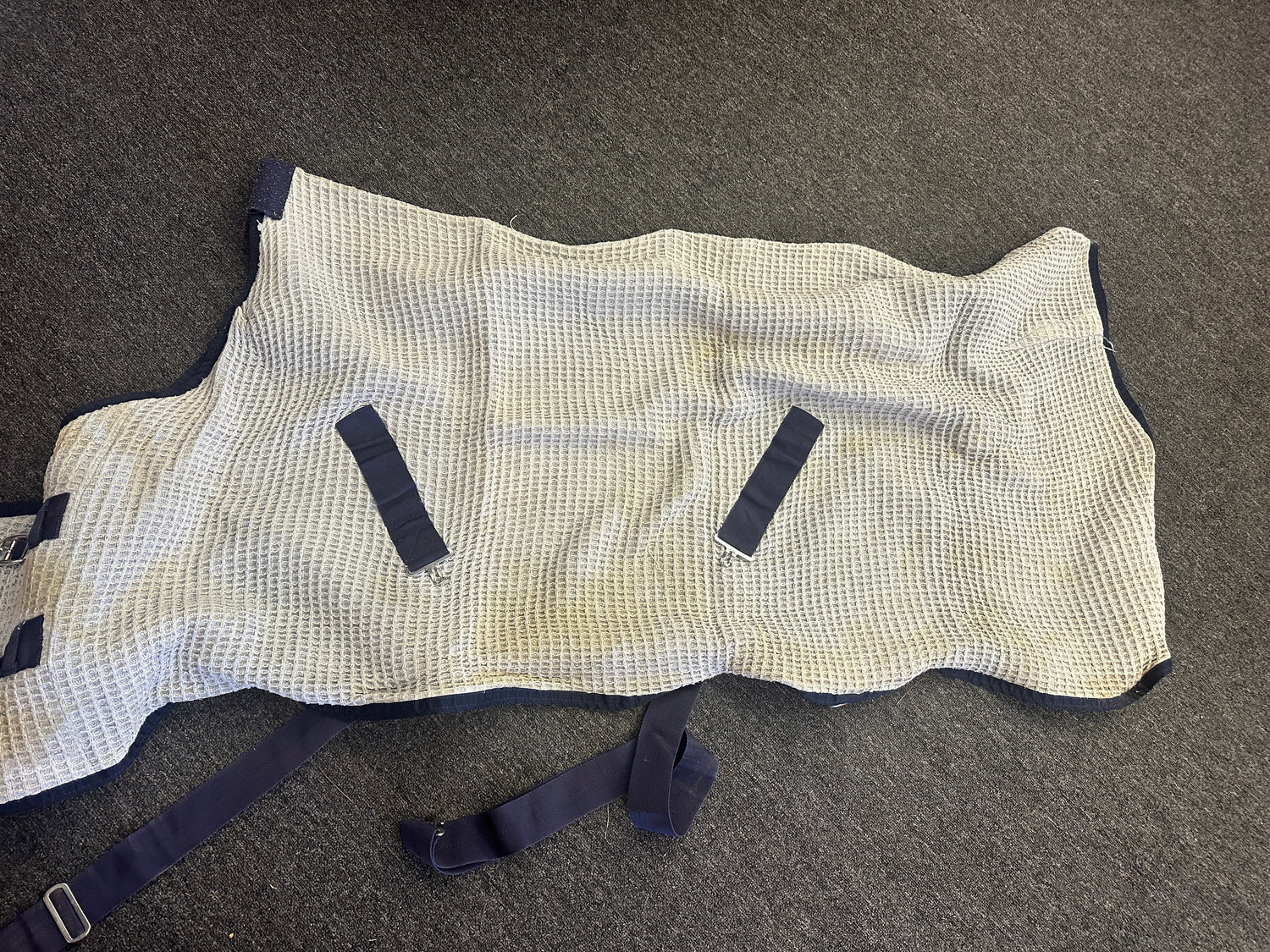 Horse Blankets, Sheets, Fly Sheets. Stable Blanket, Foal Blanket,