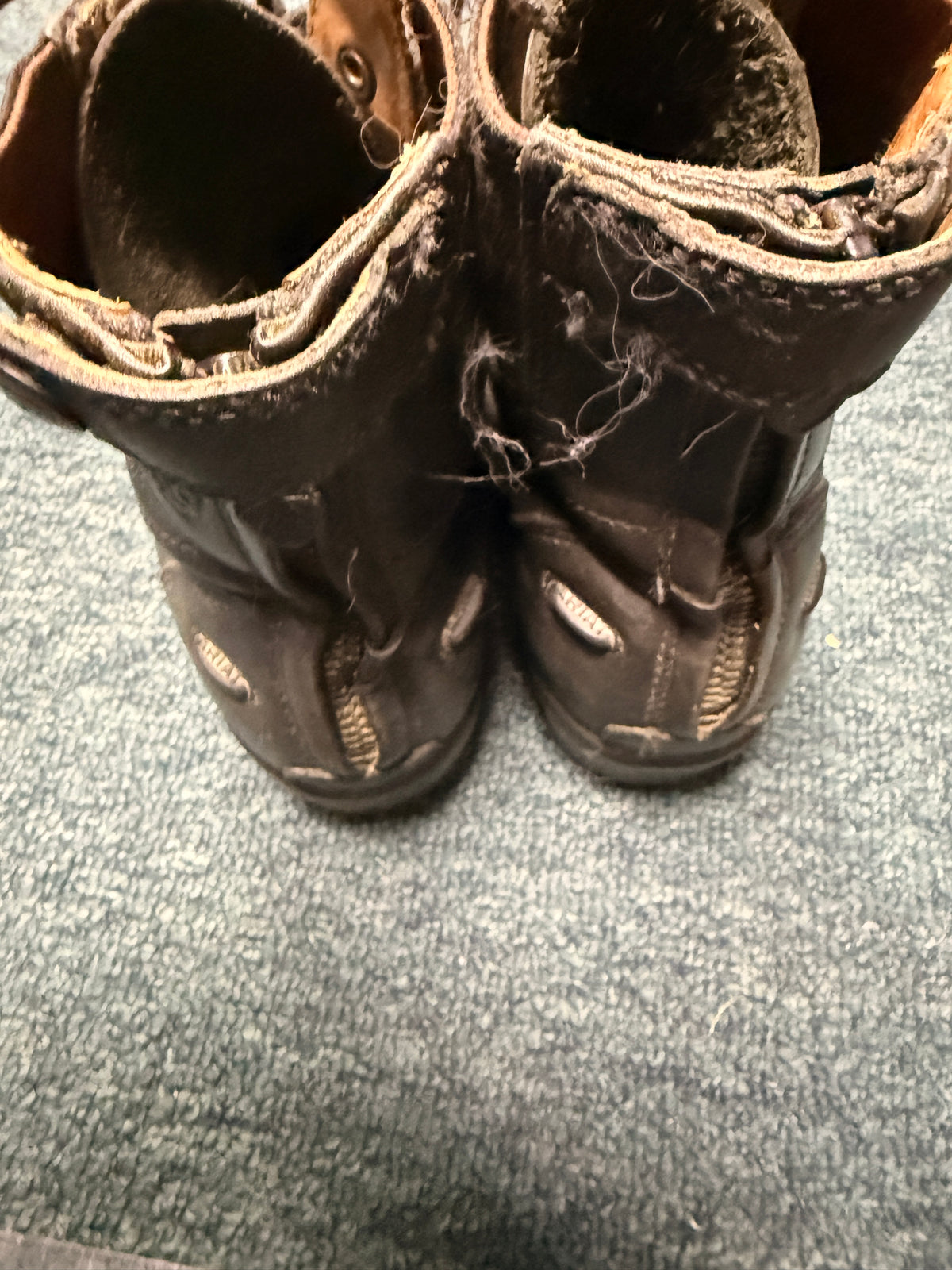 8.5 women's ariat leather paddock boots with laces and zippers