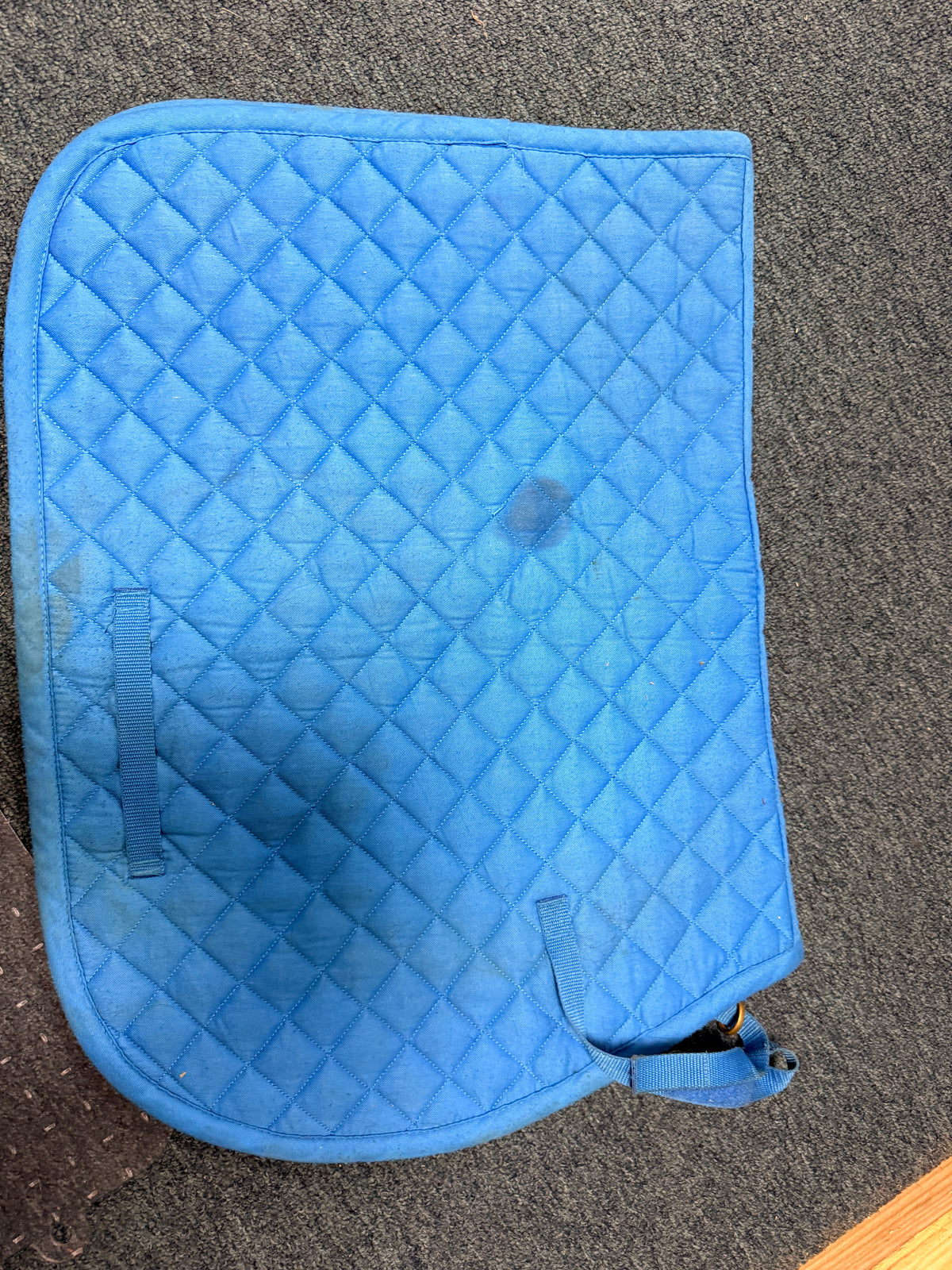 Blue All Purpose Superman logo Saddle pad