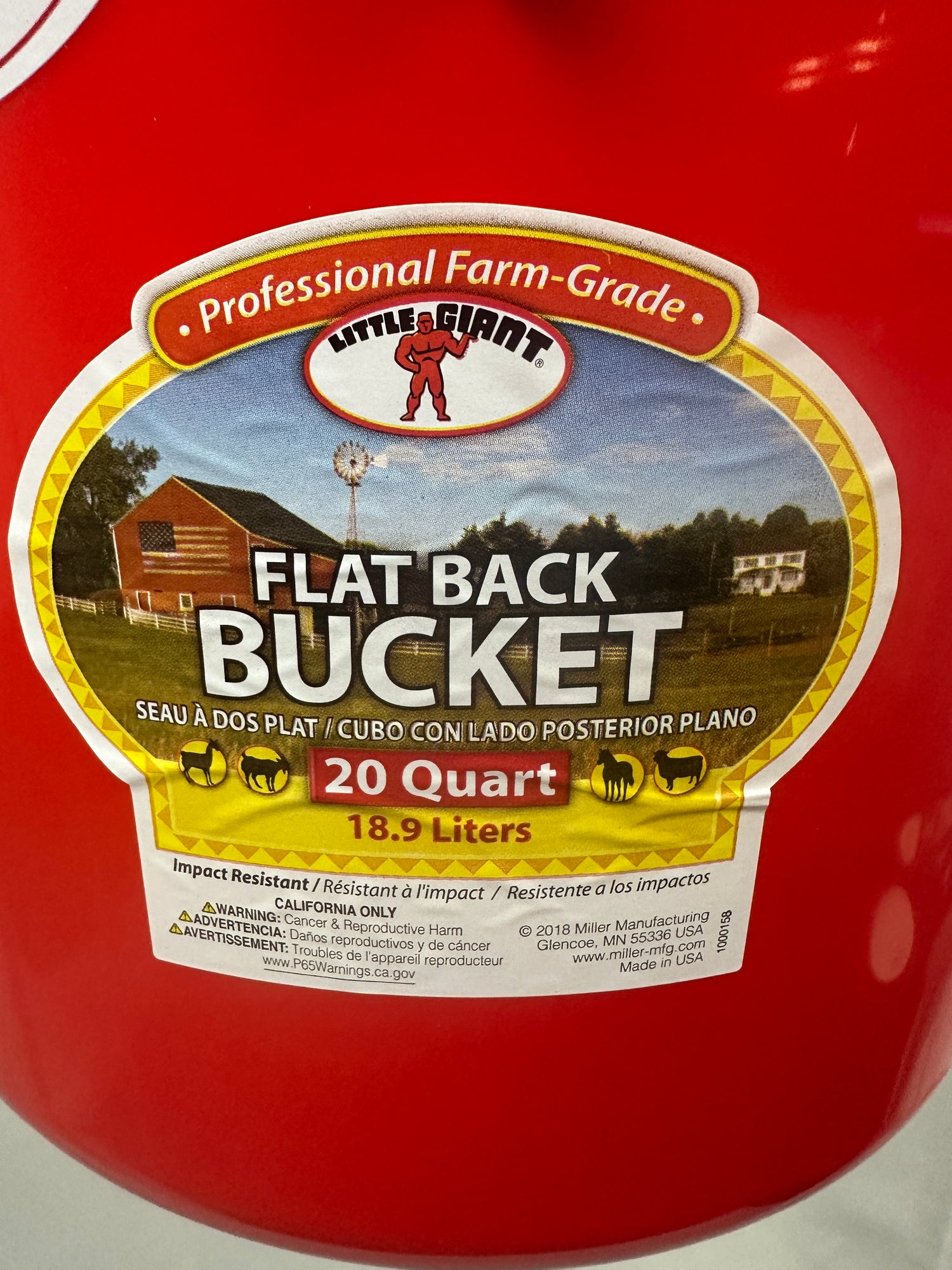 Bucket Assorted