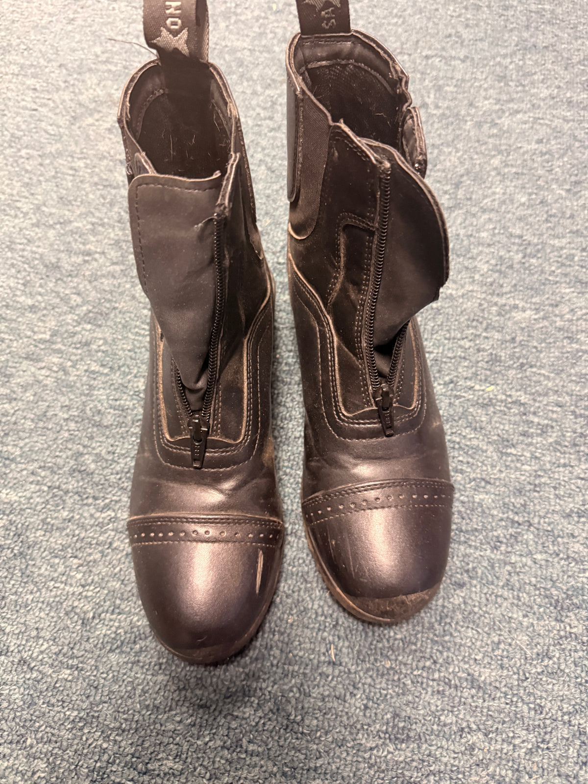 6 Women's Saxon Black front zip paddock boots