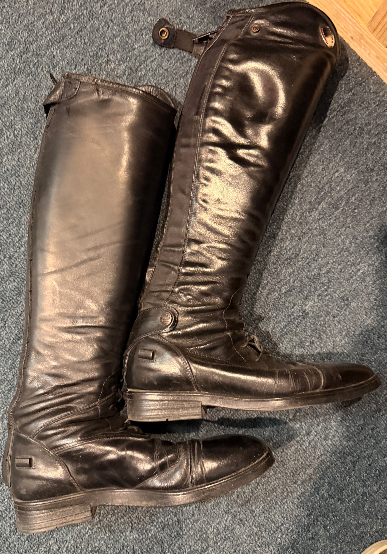 7.5 Women's Parlanti Passion Tall Field Boots