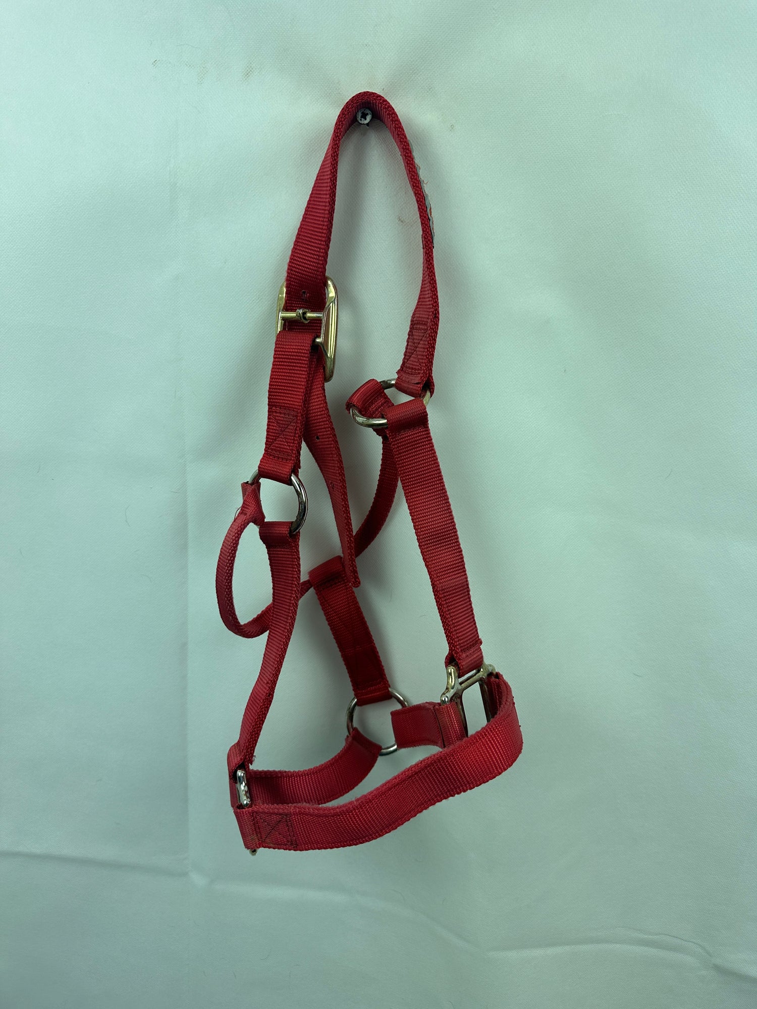 Med sized Nylon Halter Red