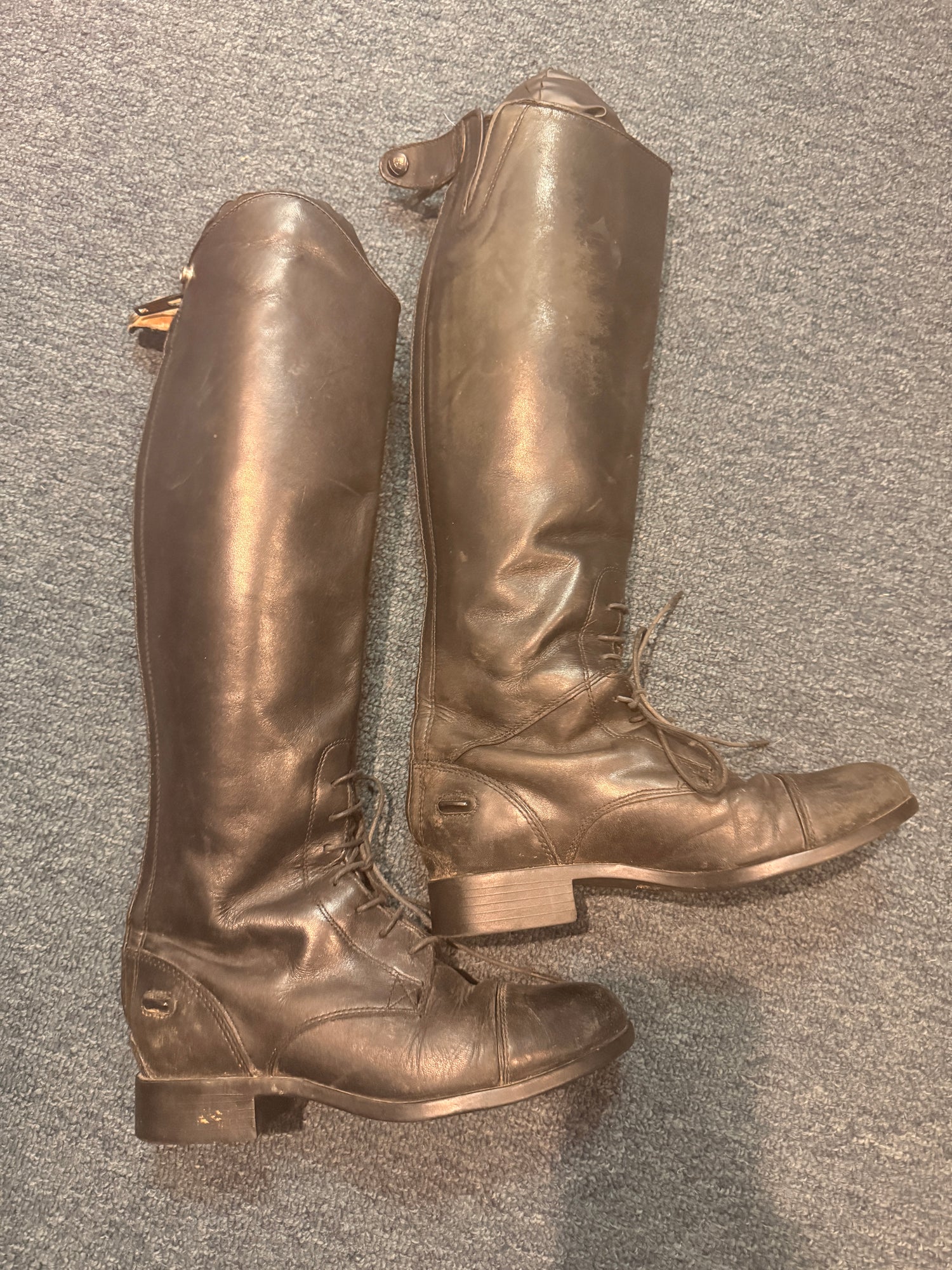 5.5B Women's Ariat tall field boots