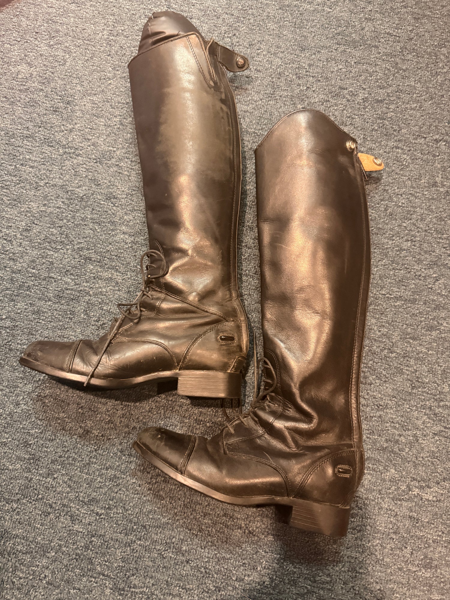 5.5B Women's Ariat tall field boots