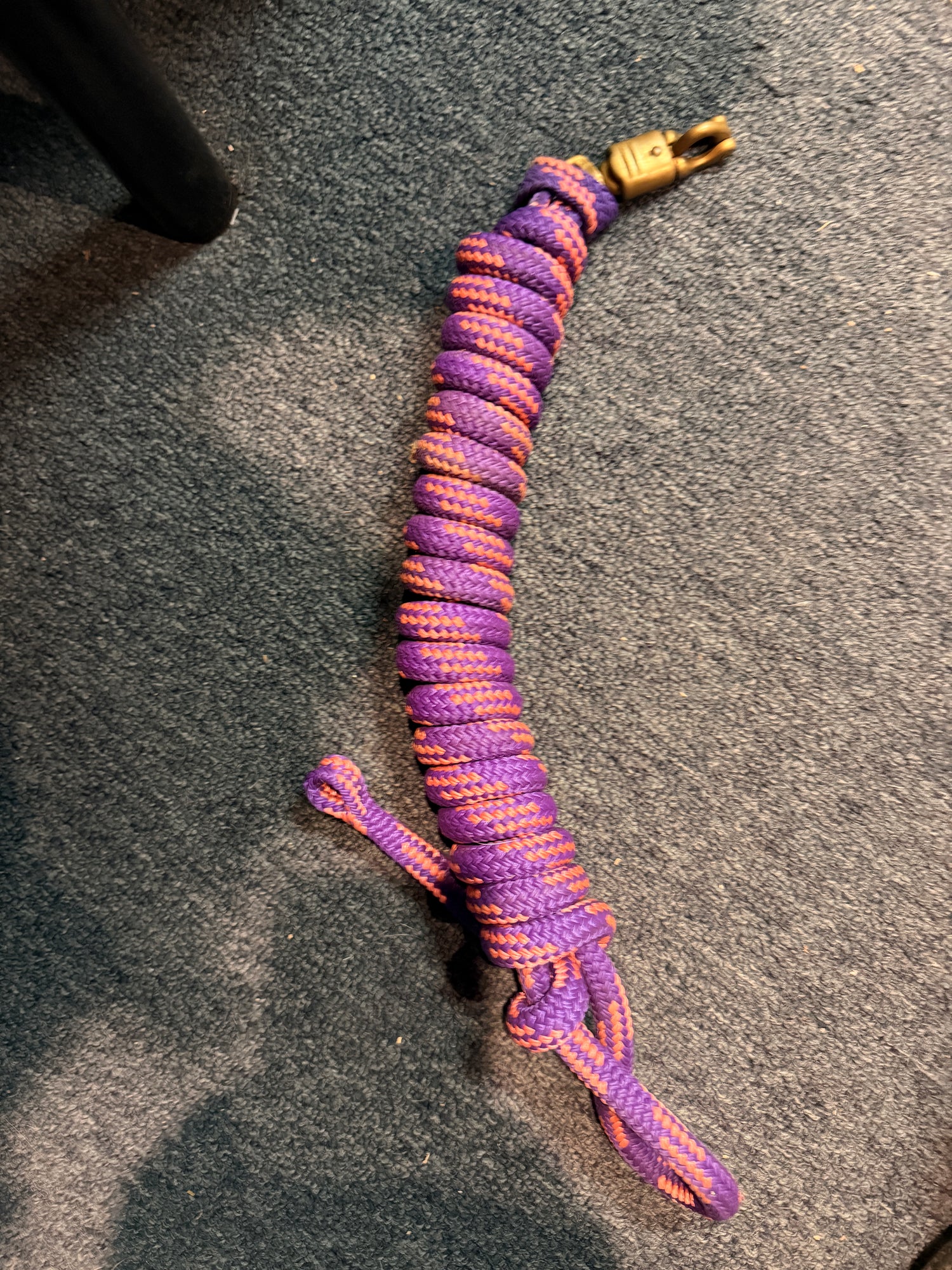 Lead Ropes