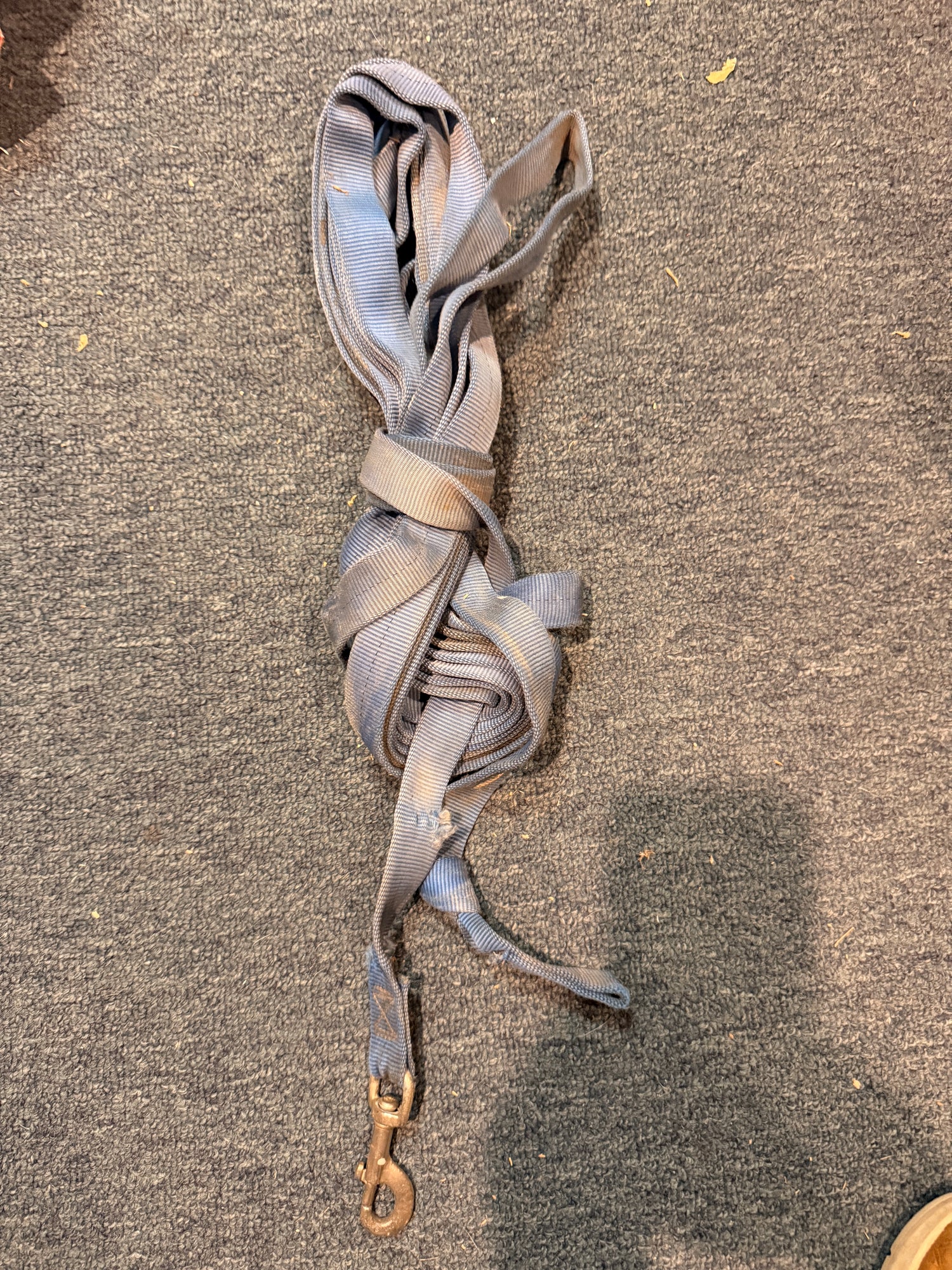 Blue Nylon Lunge Line