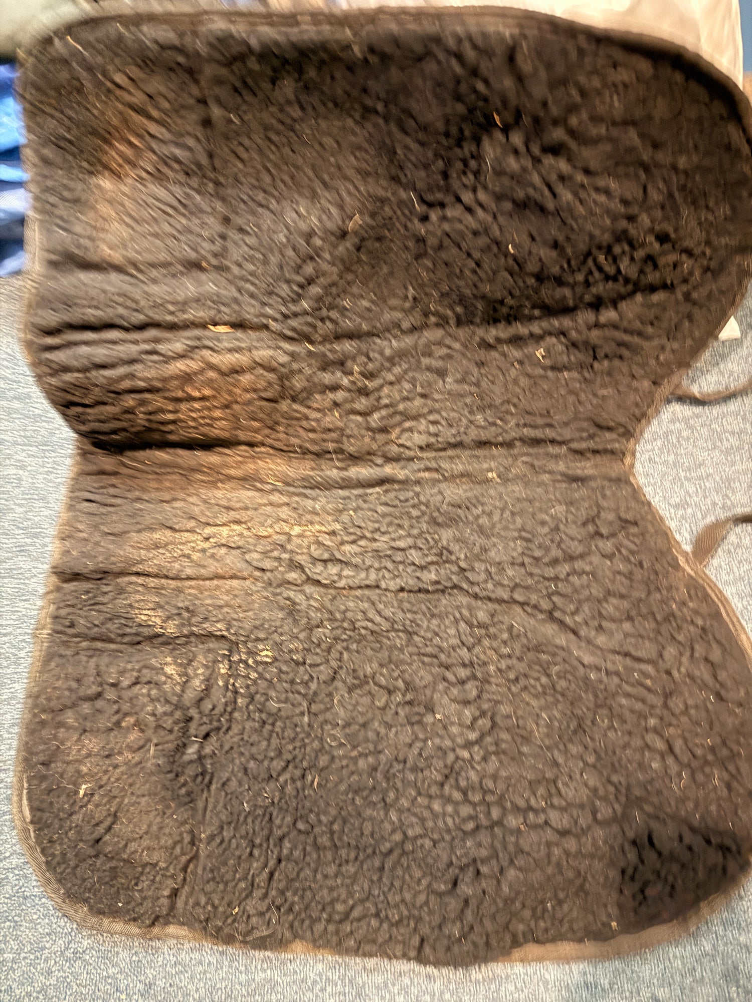 Black English AP Trail Saddle pad with pocket