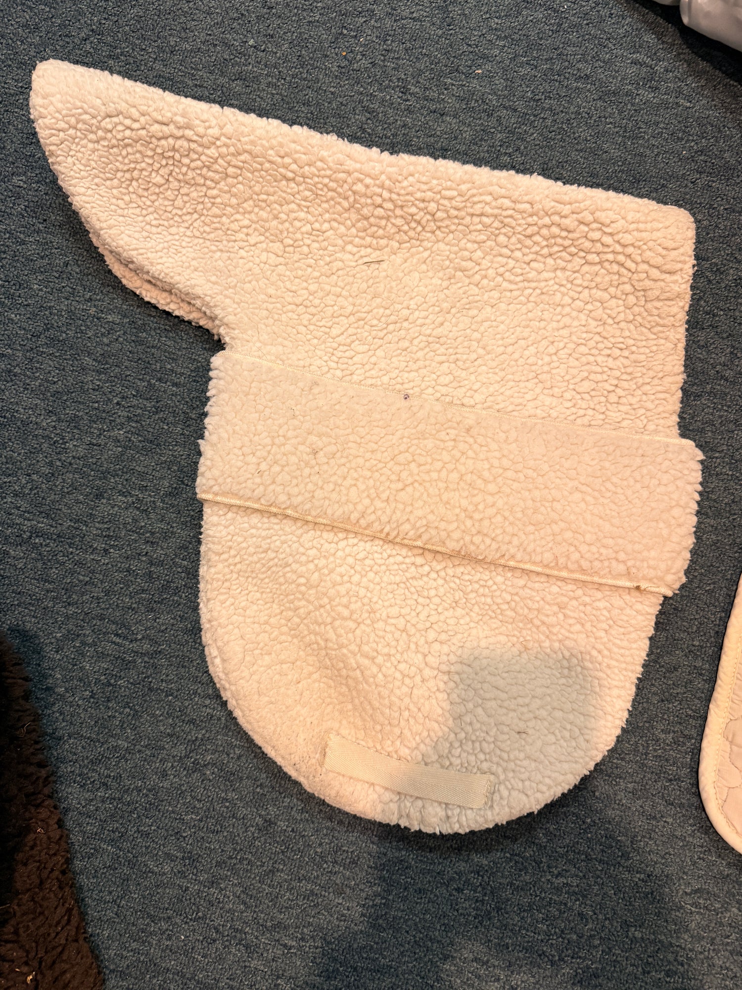 schooling saddle pads