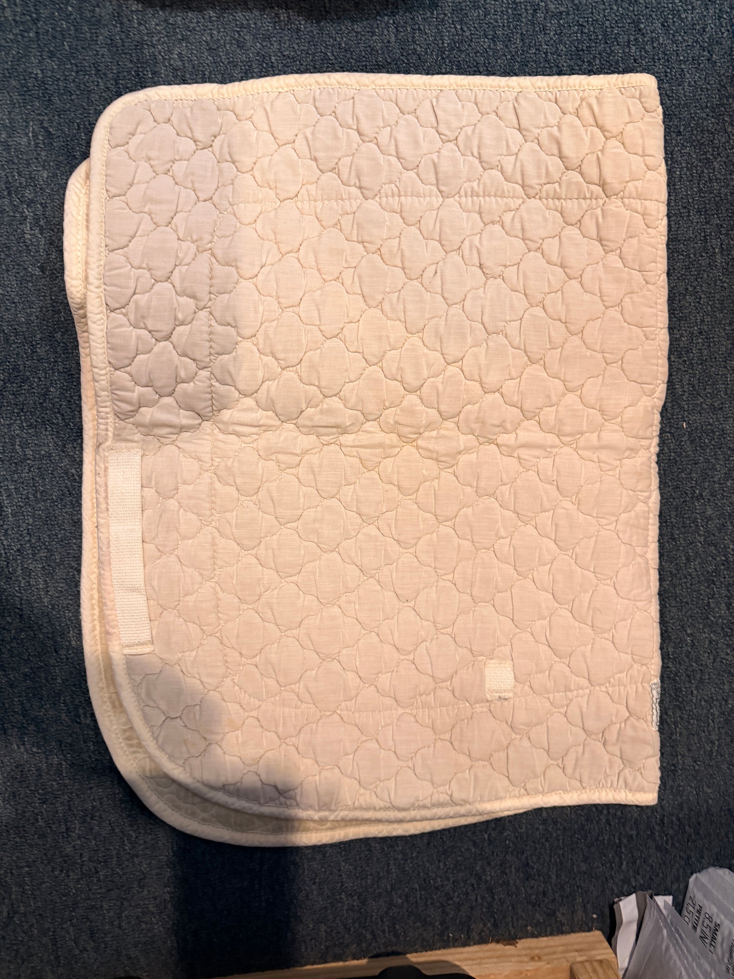 schooling saddle pads