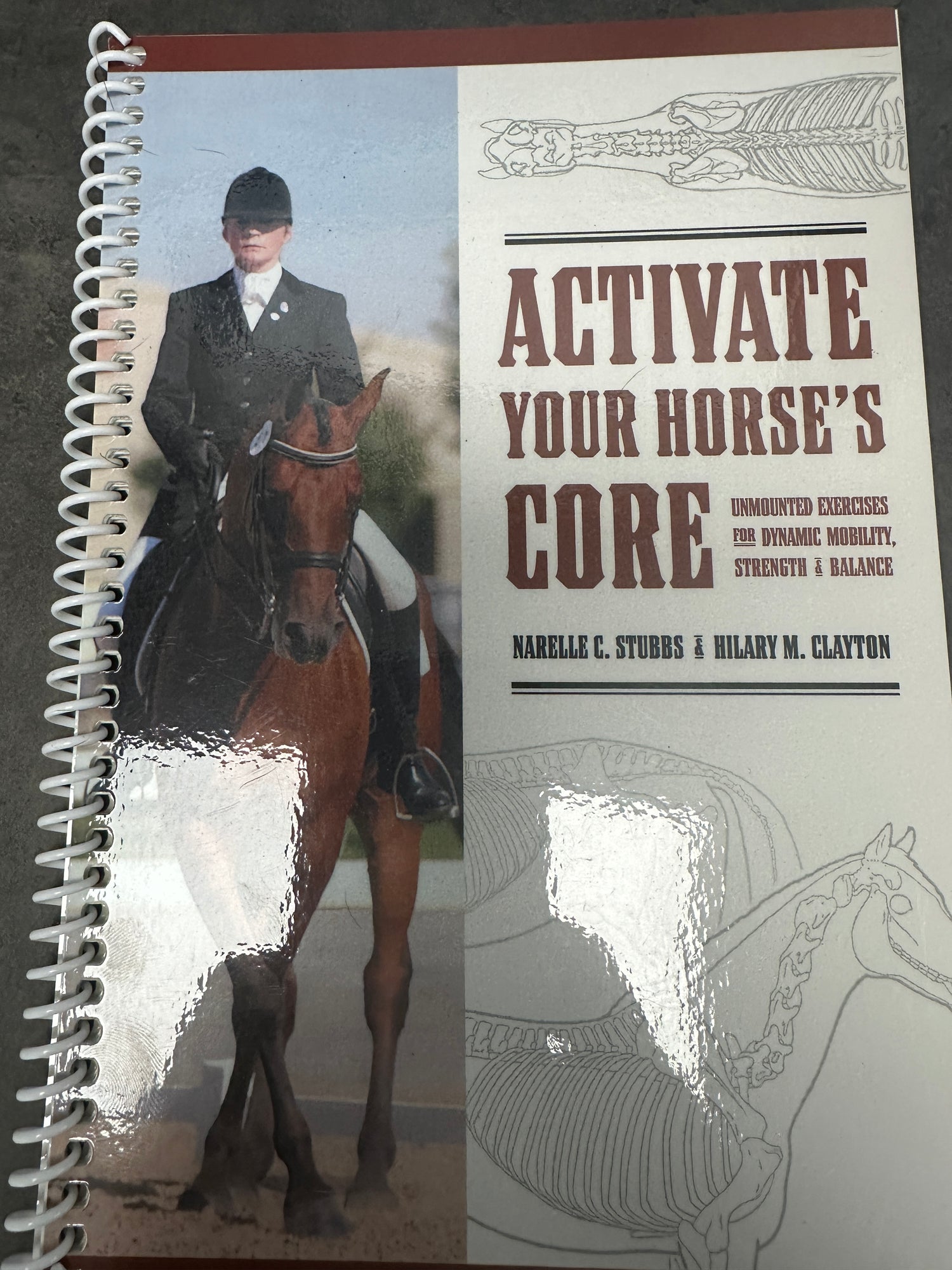 Activate your horses core