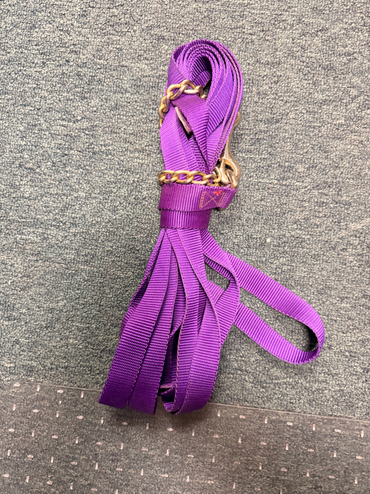 Purple lunge line