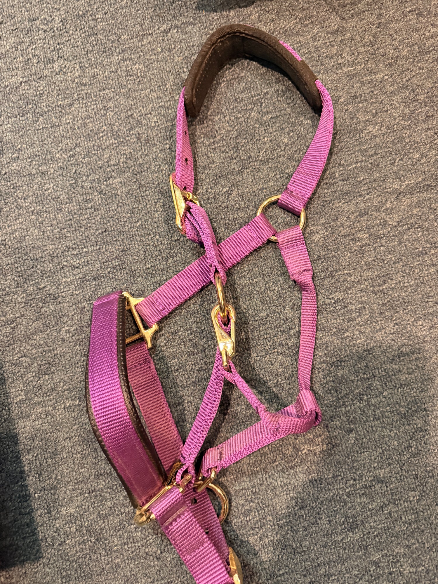 Halters Nylon