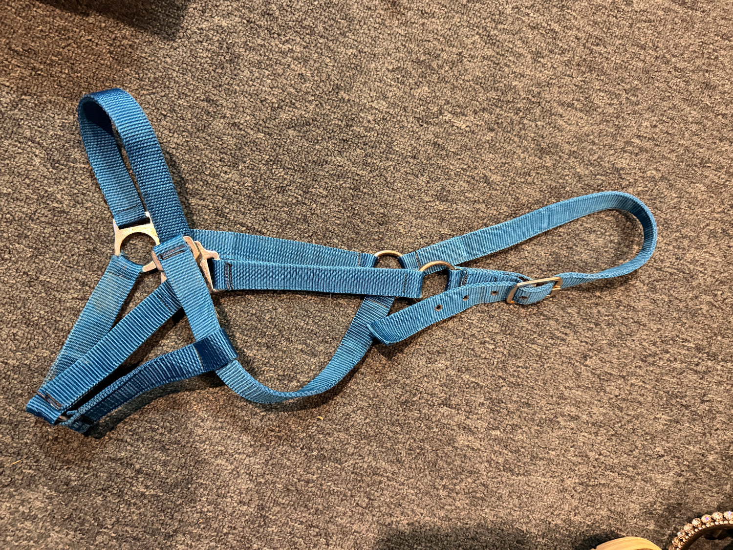 Halters Nylon