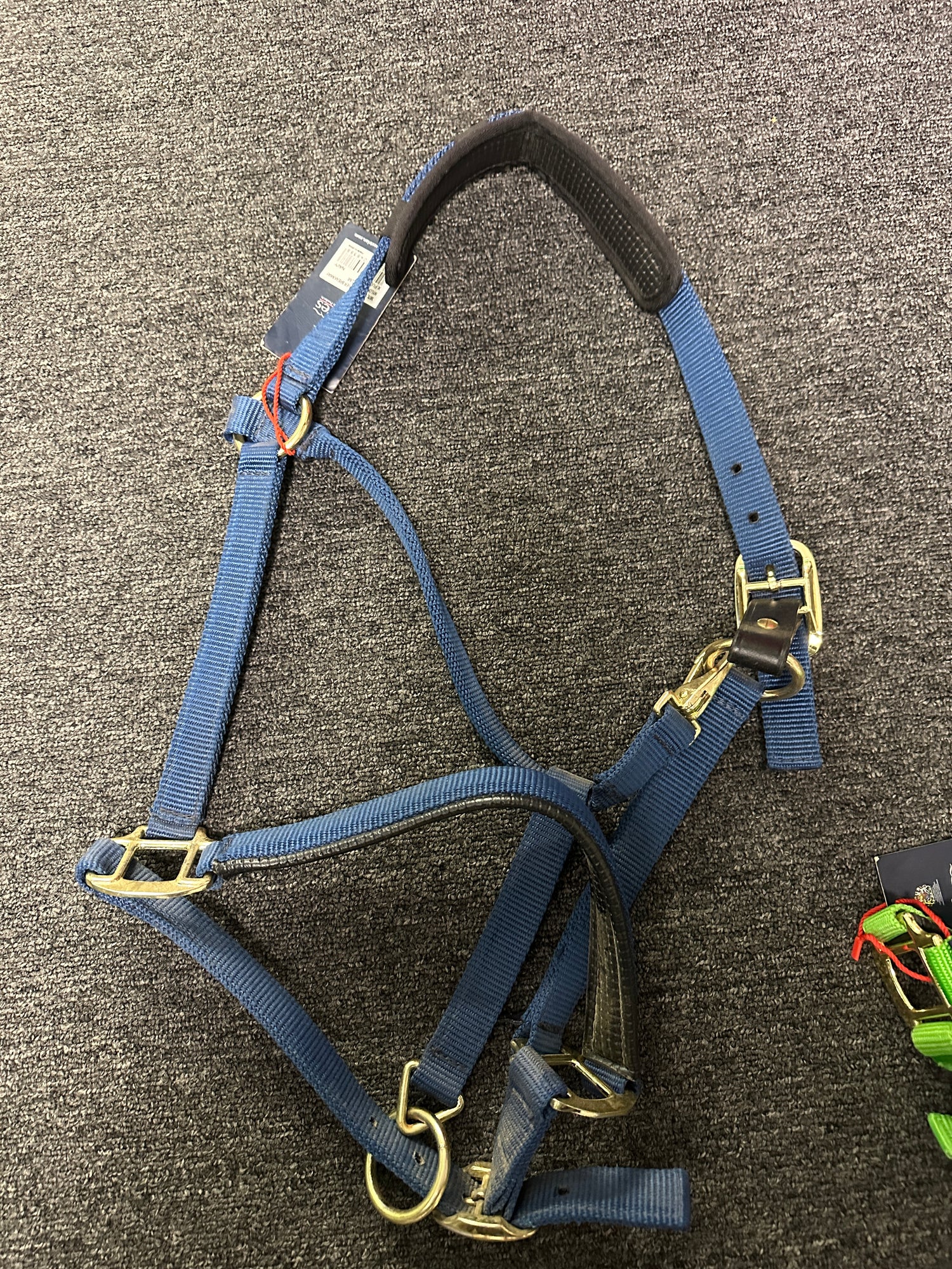 Halters for Horse, Cob & Pony