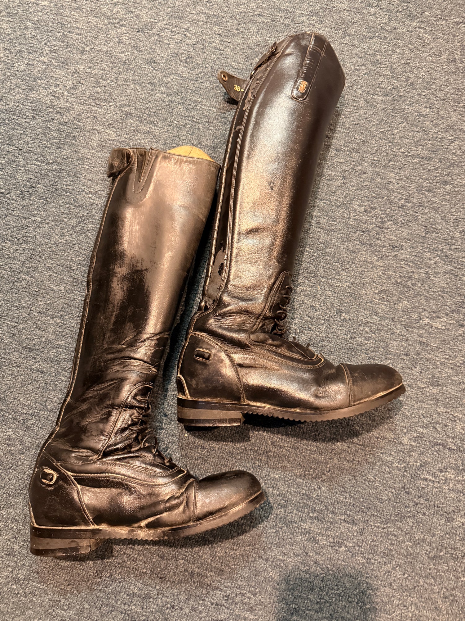 38 (7.5-8) Donatello by Treadstep